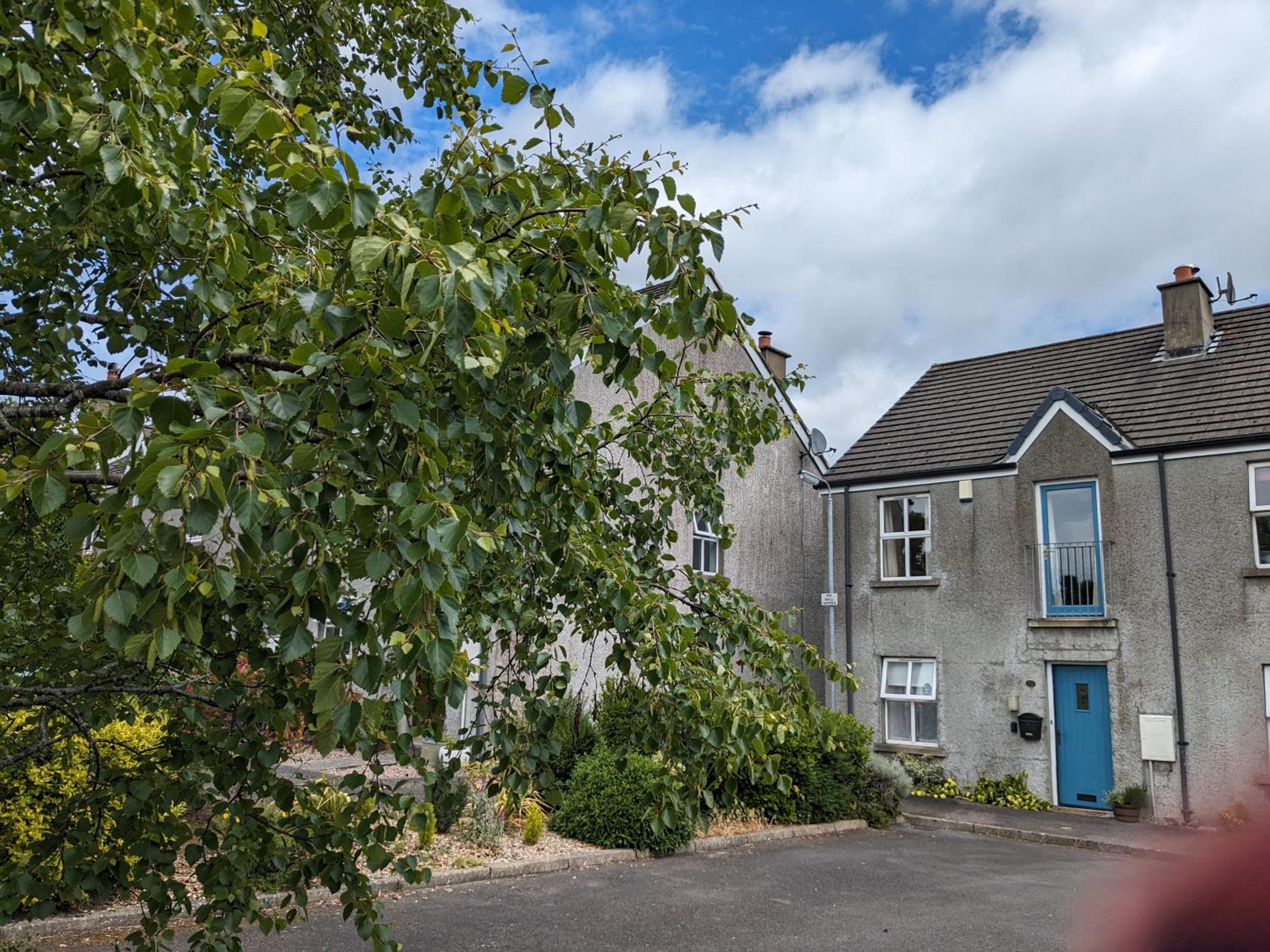 Three-Bedroom House photo 2