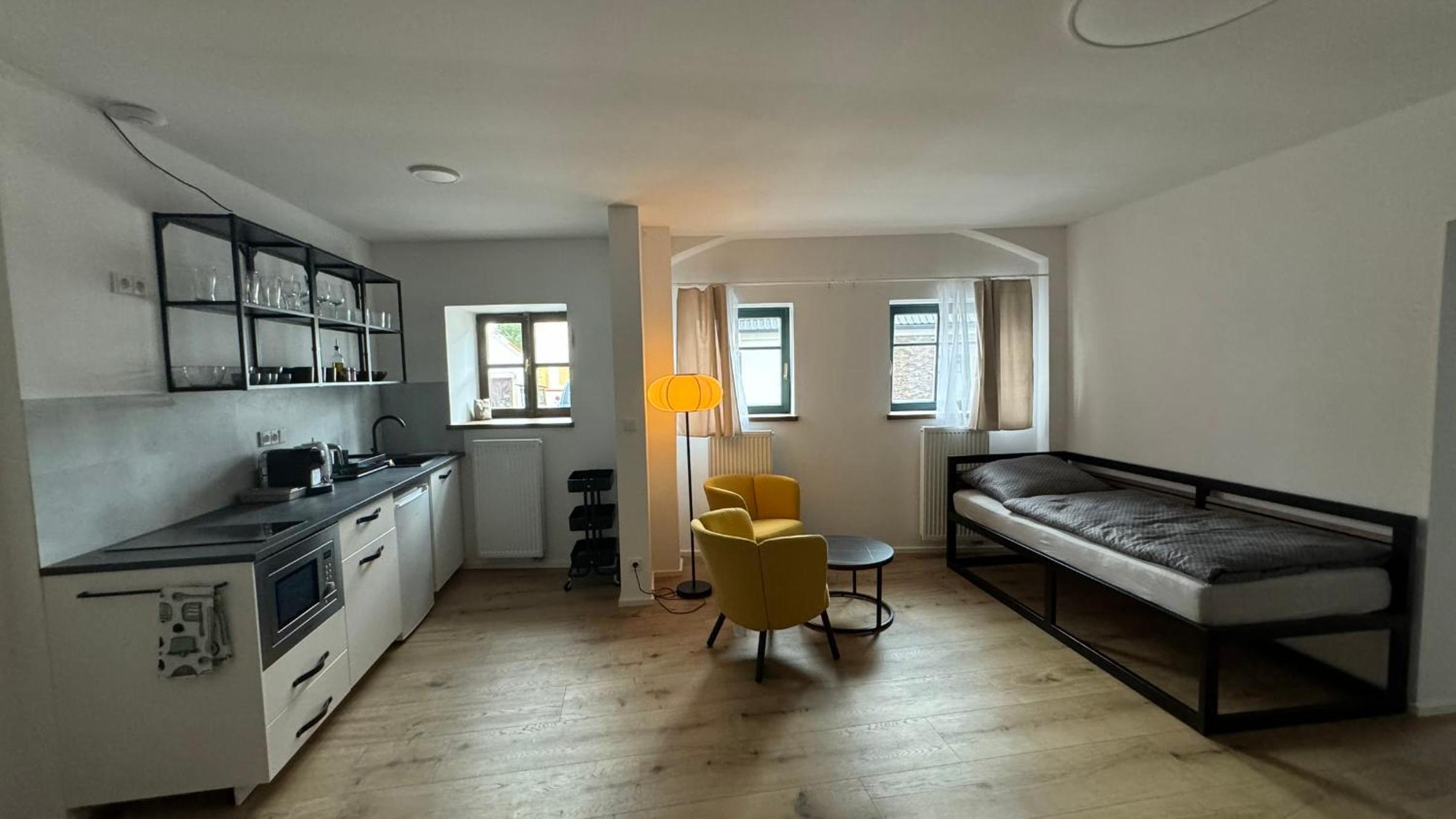 Deluxe One-Bedroom Apartment
