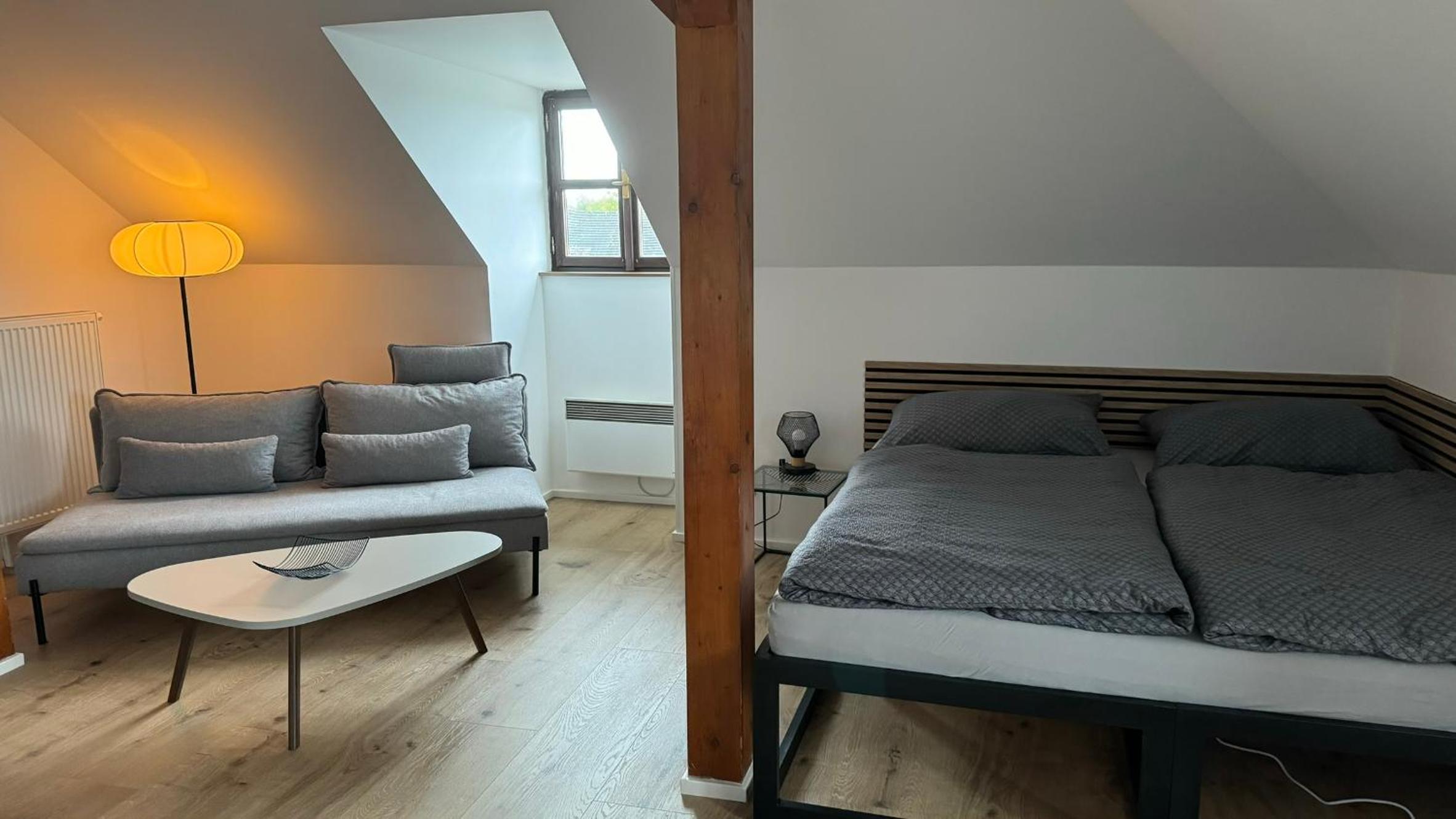 Deluxe One-Bedroom Apartment with City View