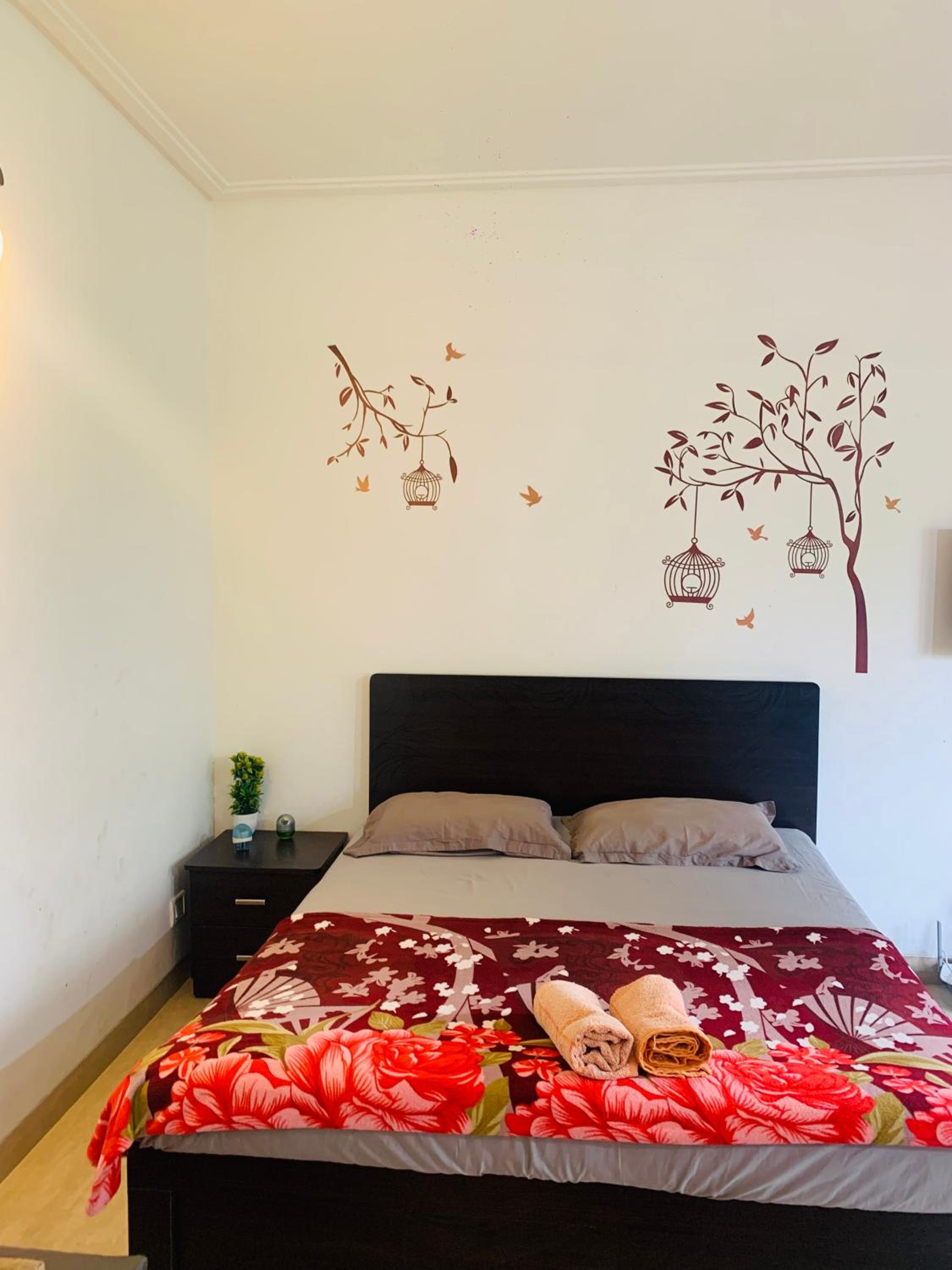 Studio Apartment photo 2