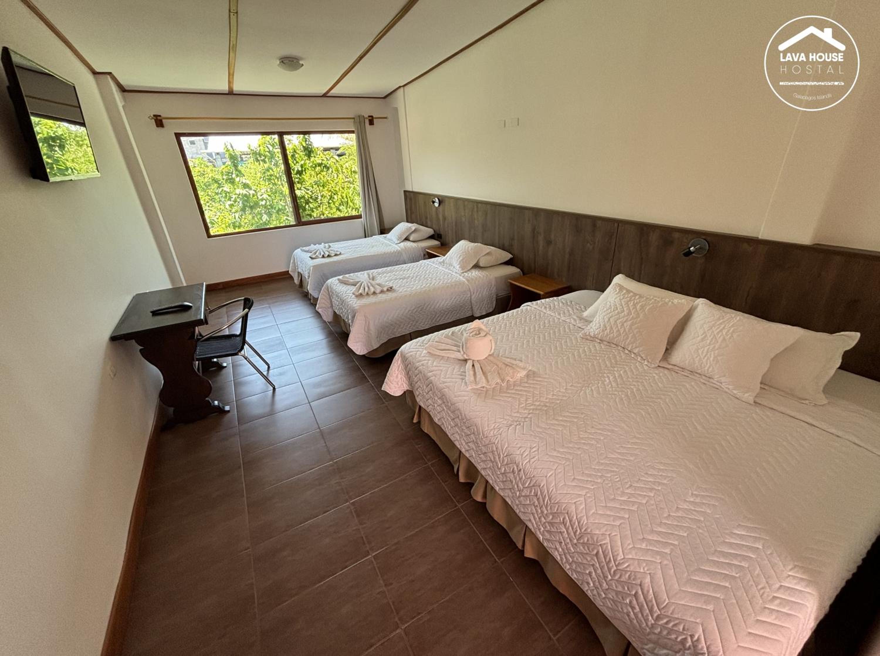 Triple Room photo 3