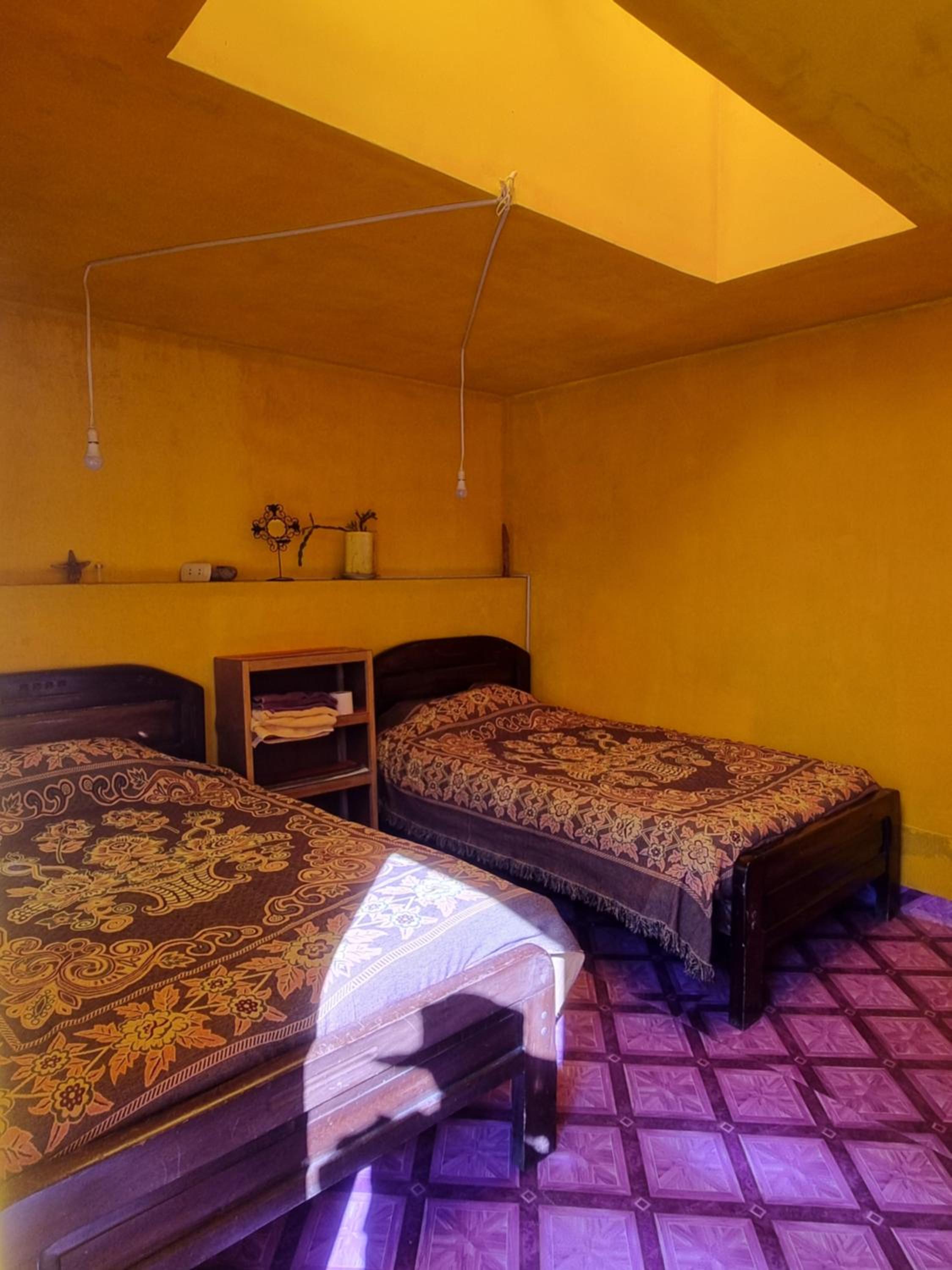 Twin Room photo 2