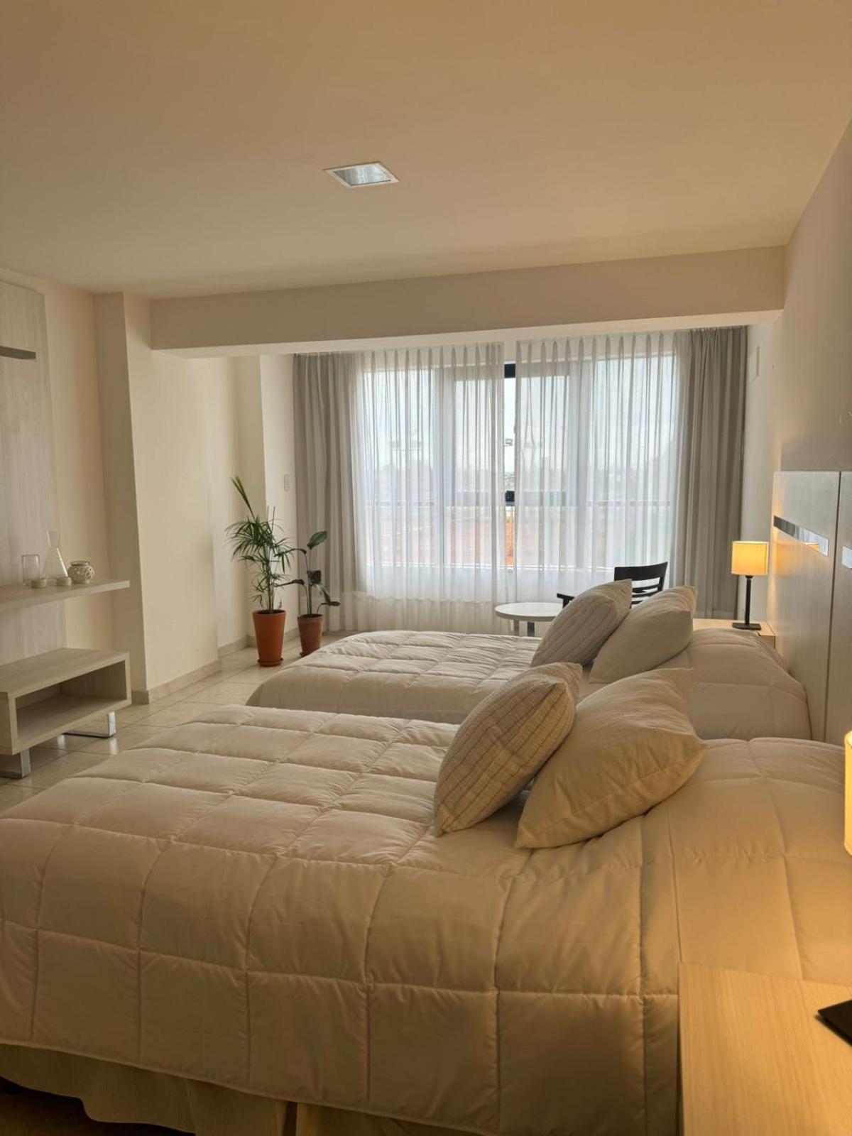 One-Bedroom Apartment photo 3