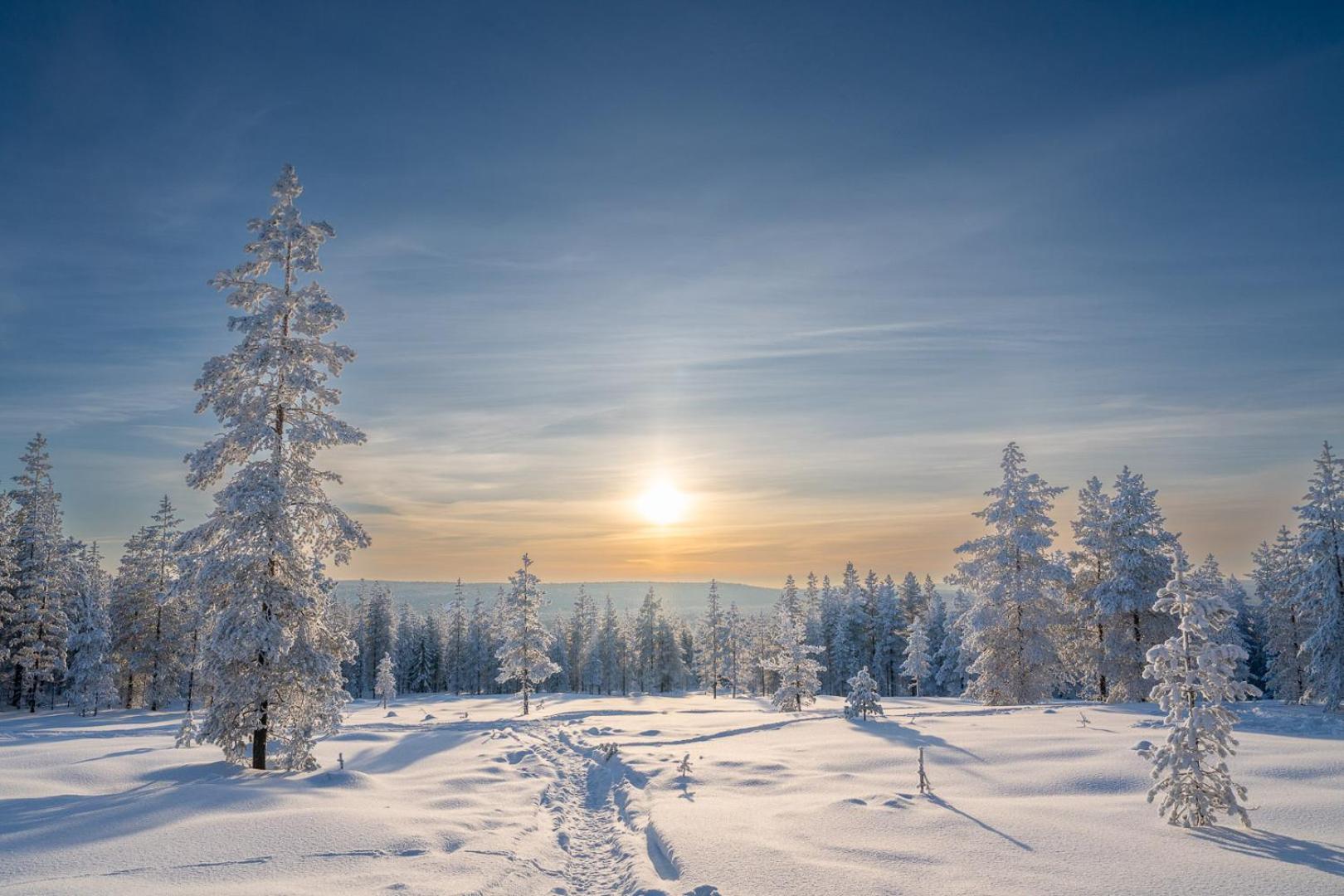 Two-Bedroom House - Lumo - Photo 4