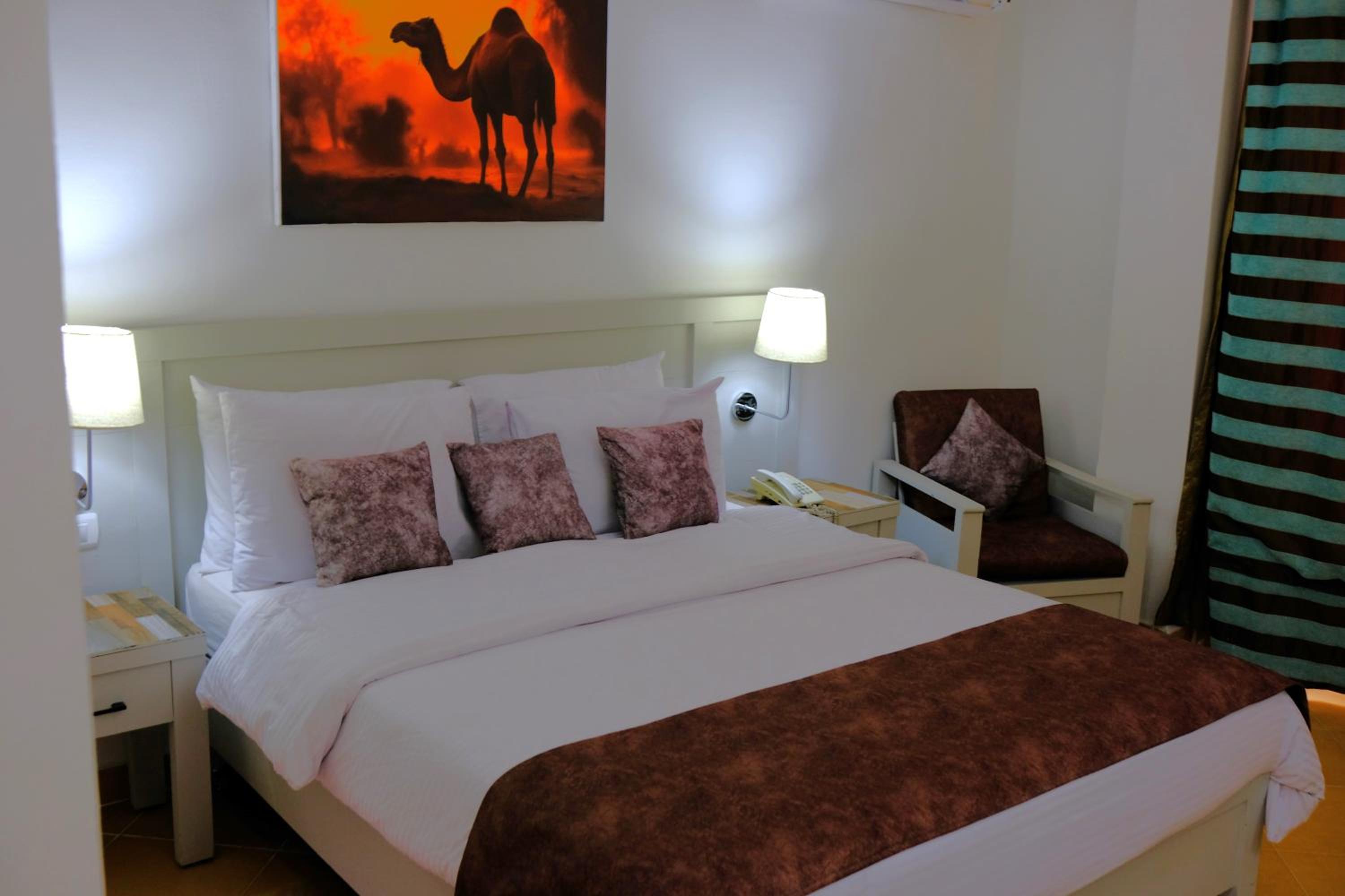Budget Single Room photo 3