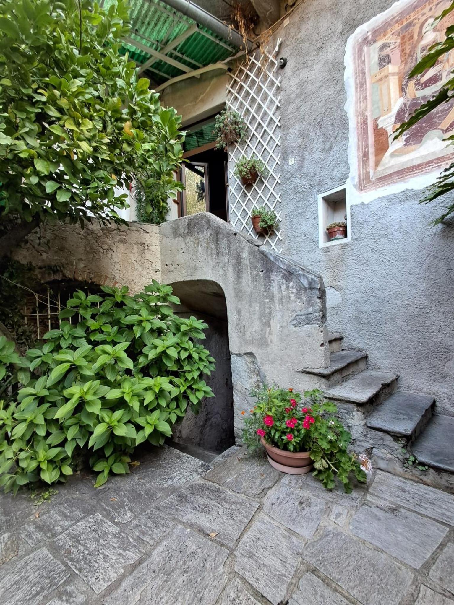 Apartment with Terrace photo 2