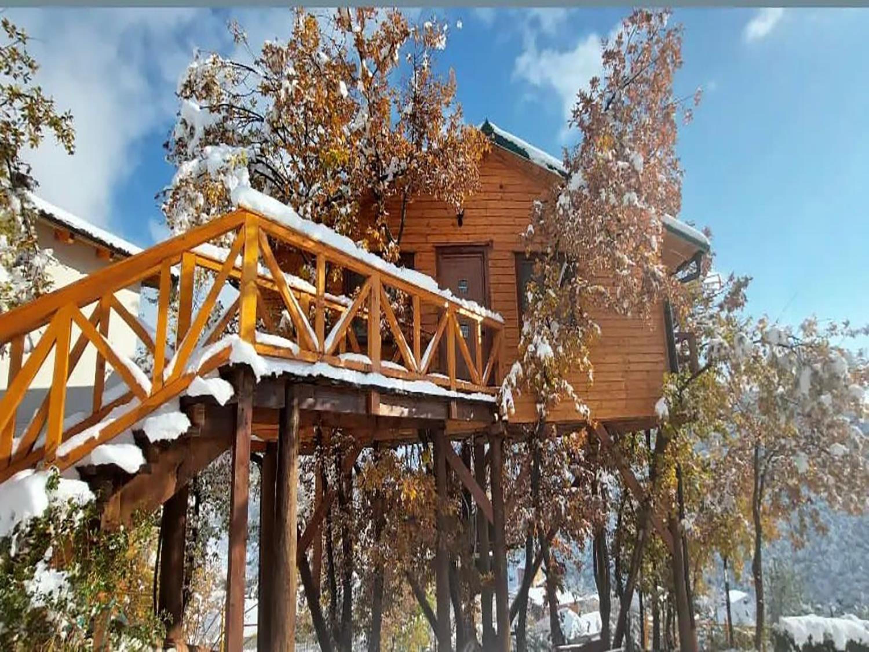 Tree House photo 2