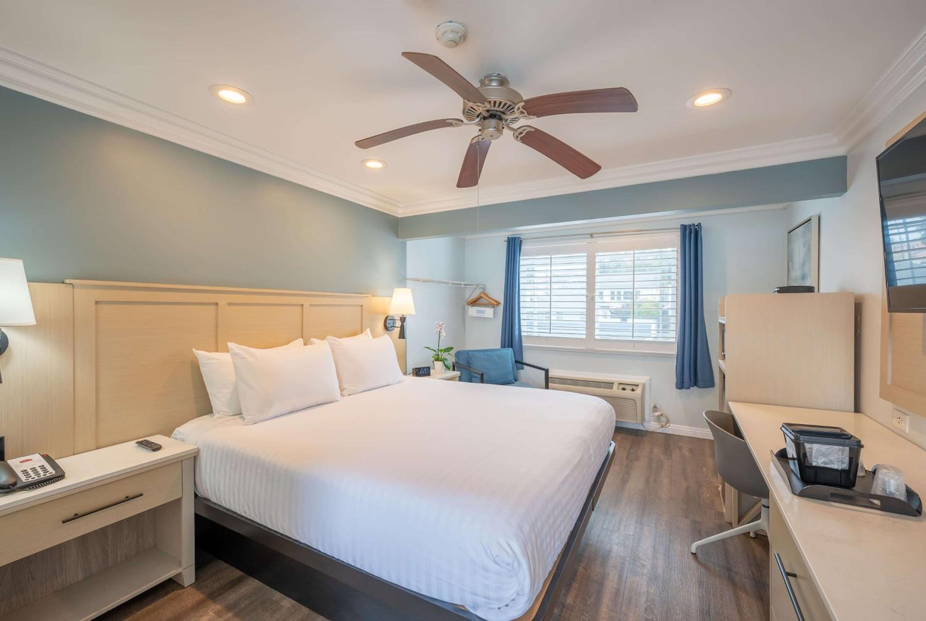 King Room with Roll-In Shower - Mobility/Hearing Accessible - Non-Smoking - Photo 1