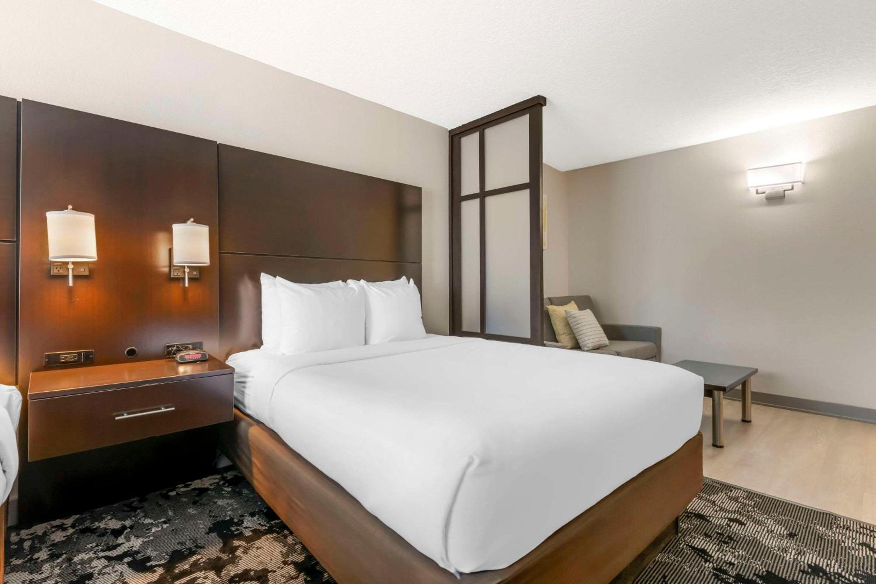 King Suite with Sofa Bed and City View photo 3