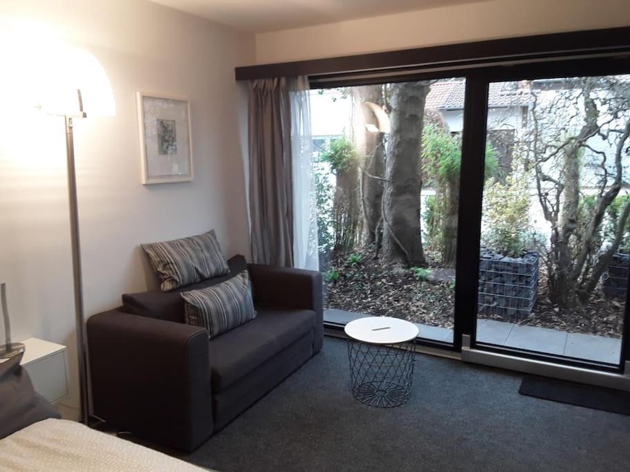 Studio Apartment with King Bed photo 3