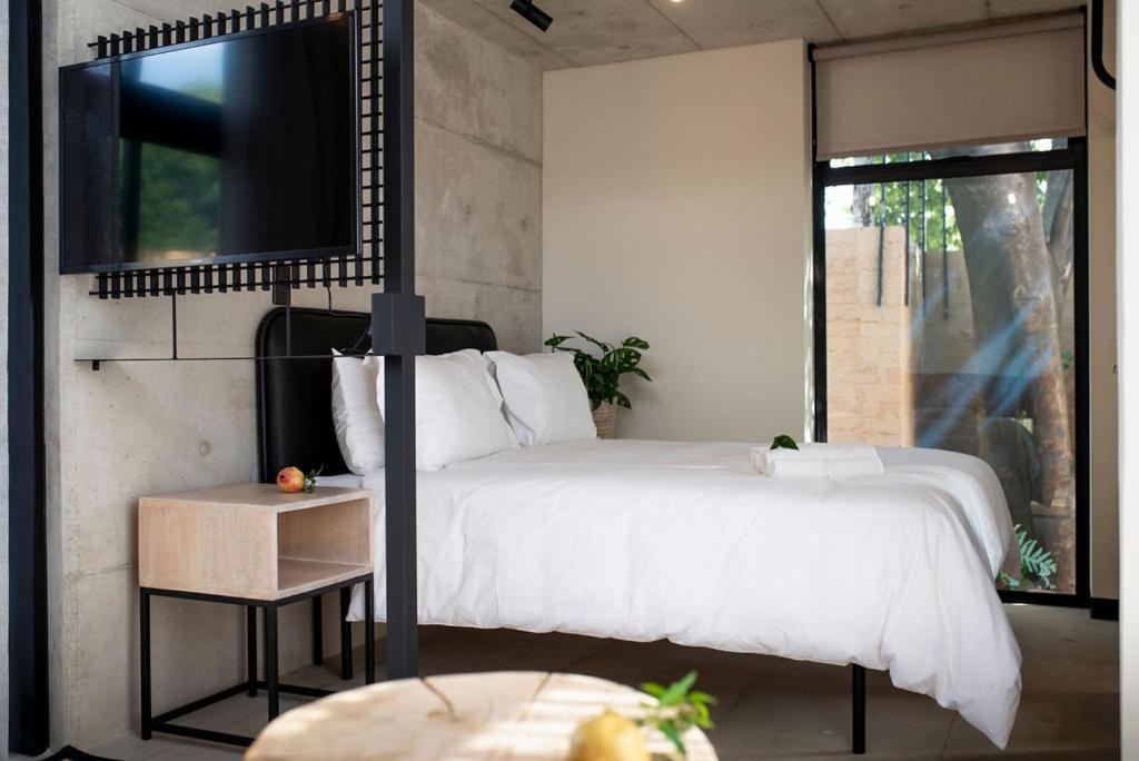 Luxury Studio