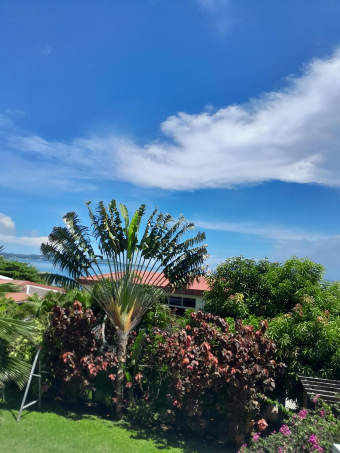 Apartment with Sea View photo 3