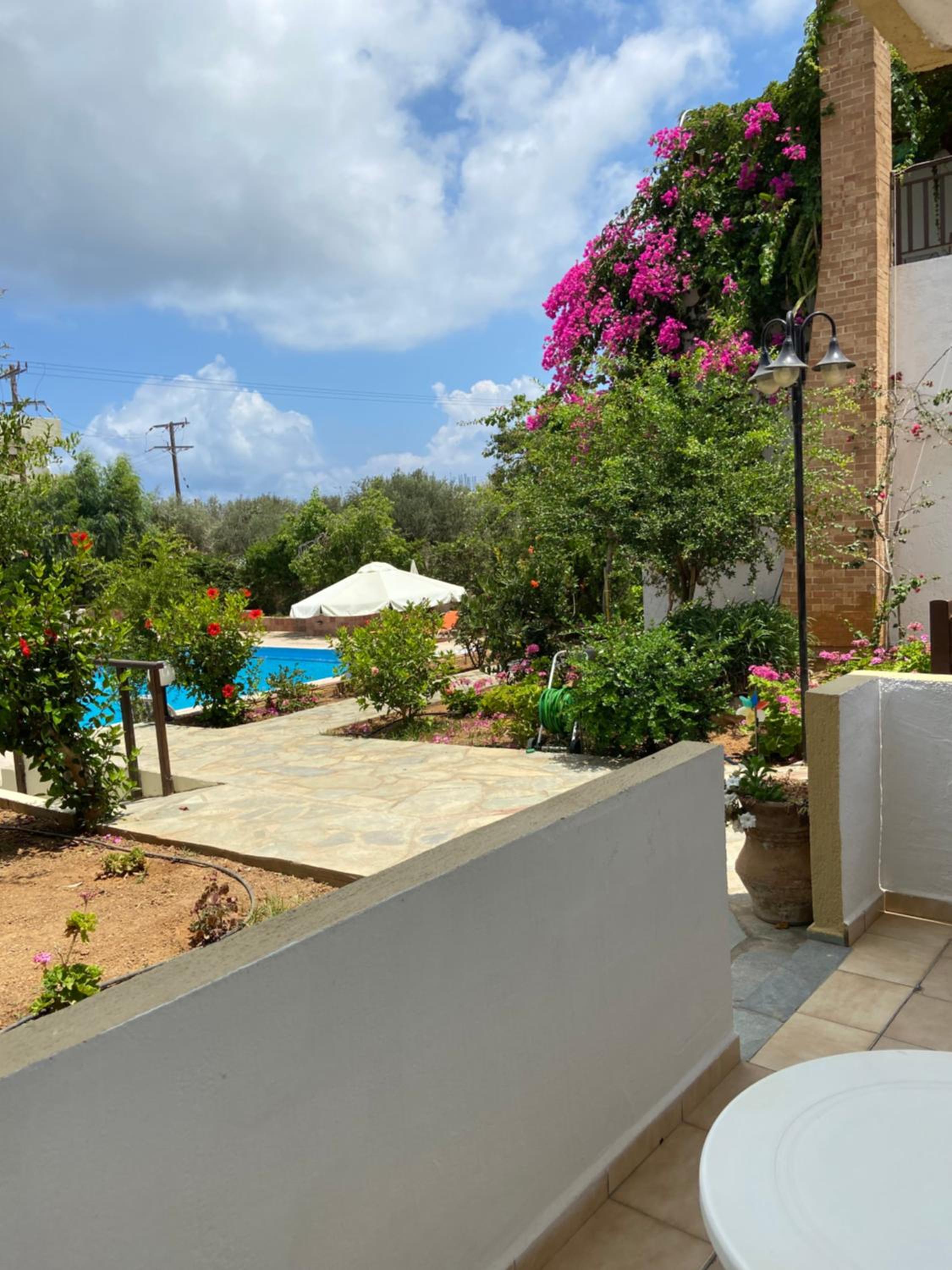 Studio with Pool View photo 2