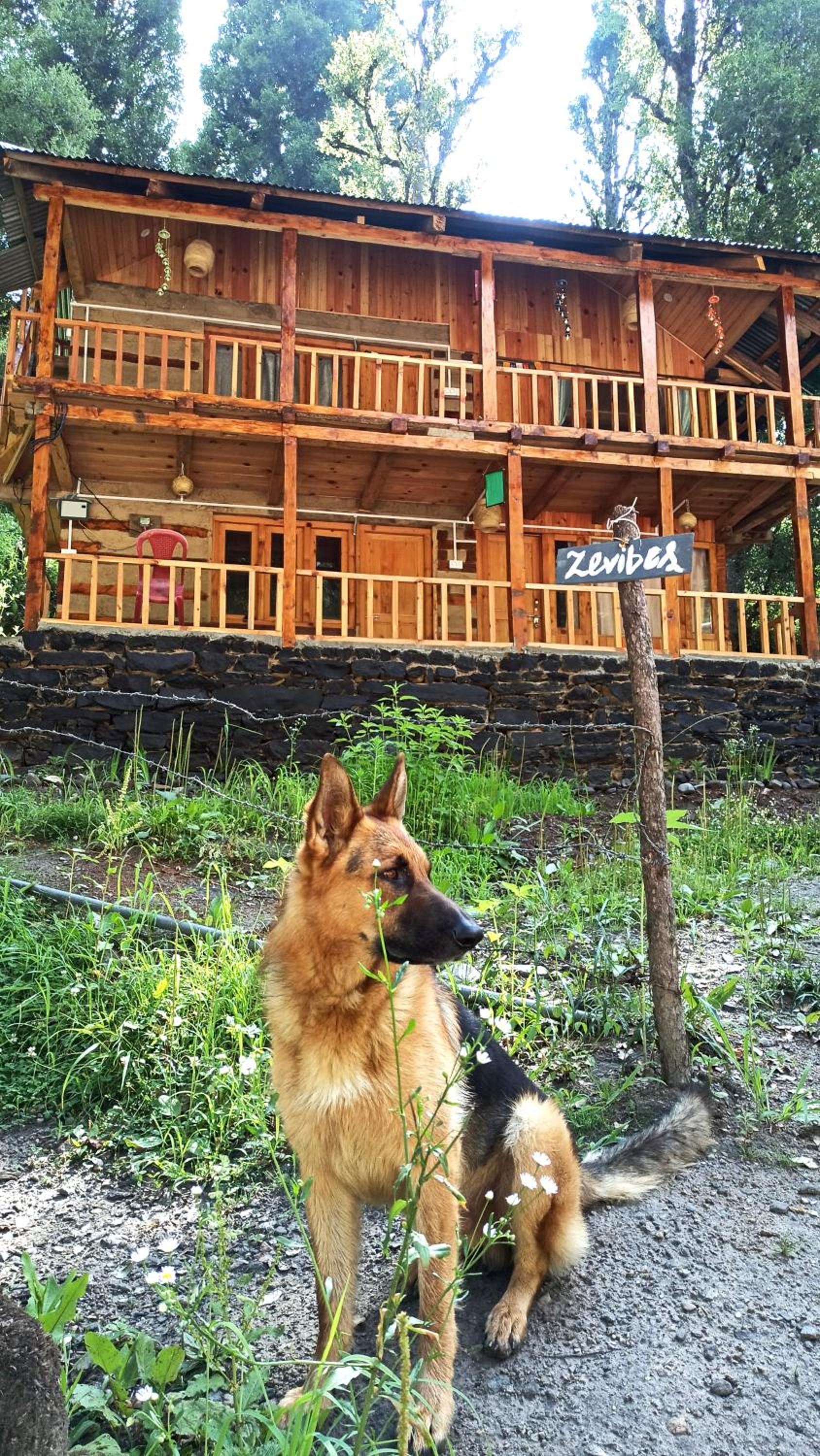 Cottage photo 3