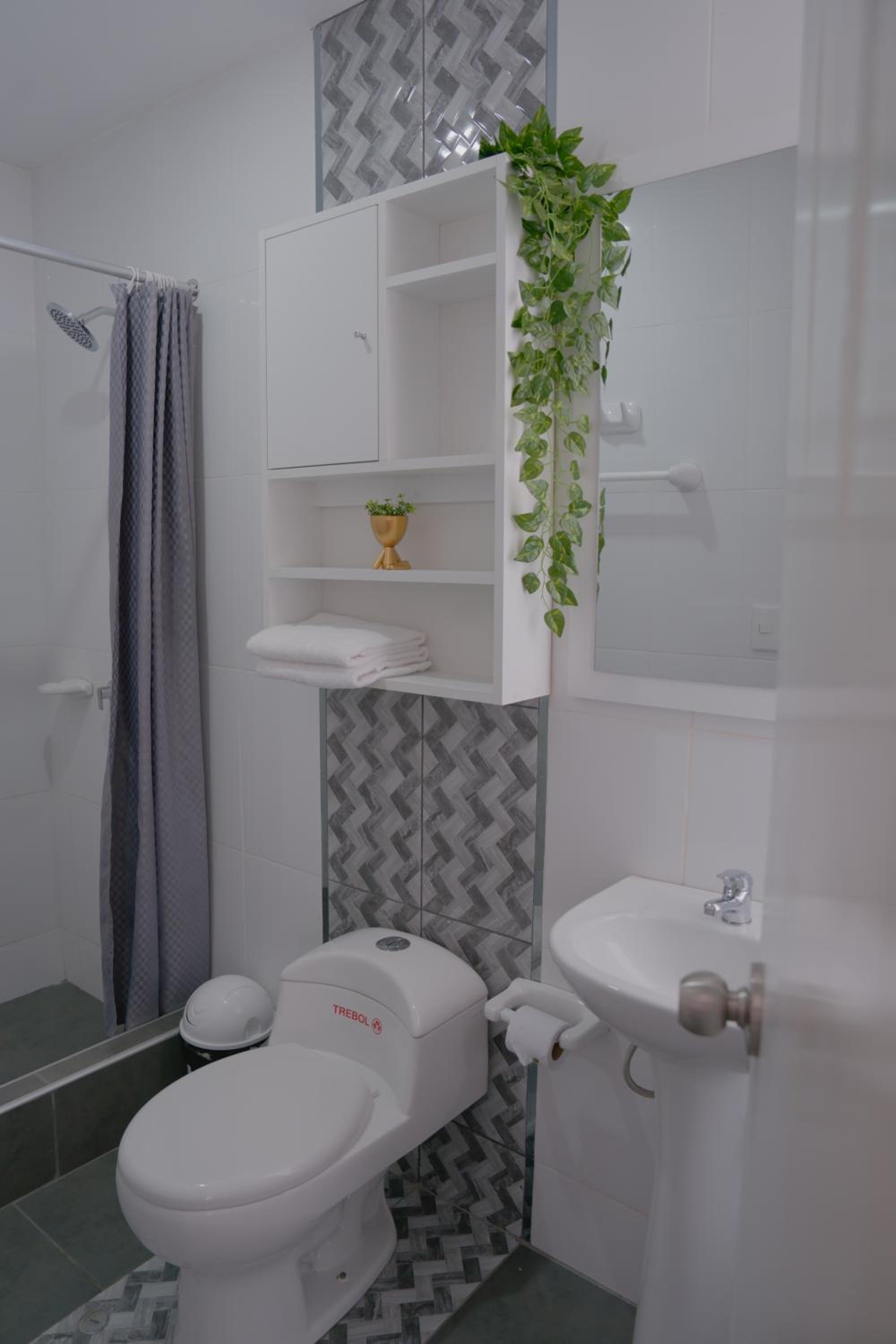 Single Room photo 2