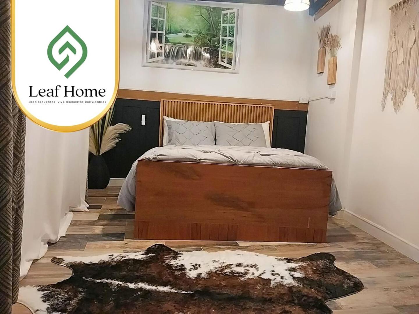 One-Bedroom House photo 1
