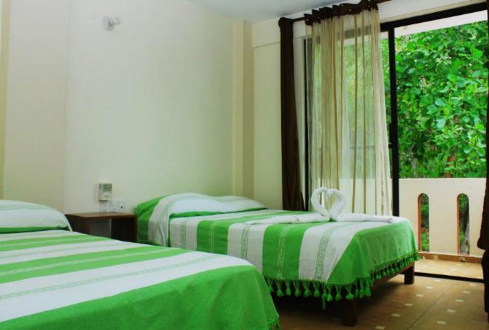Twin Room photo 3