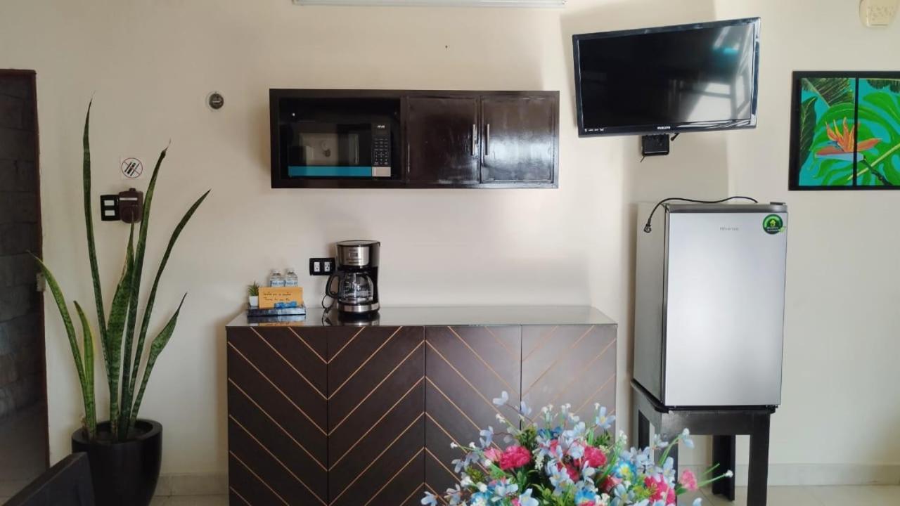 Twin Room photo 3