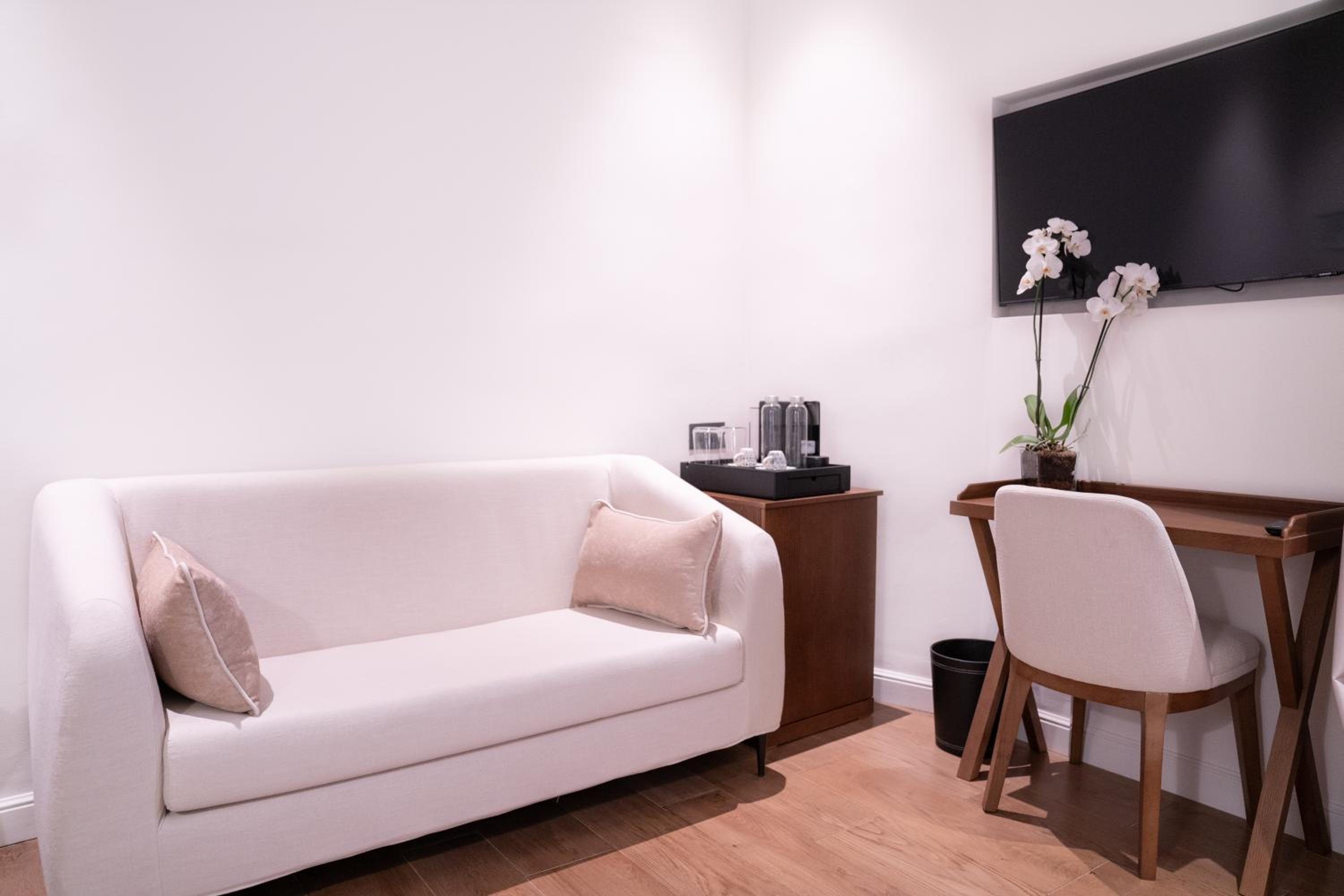Suite Junior Premium