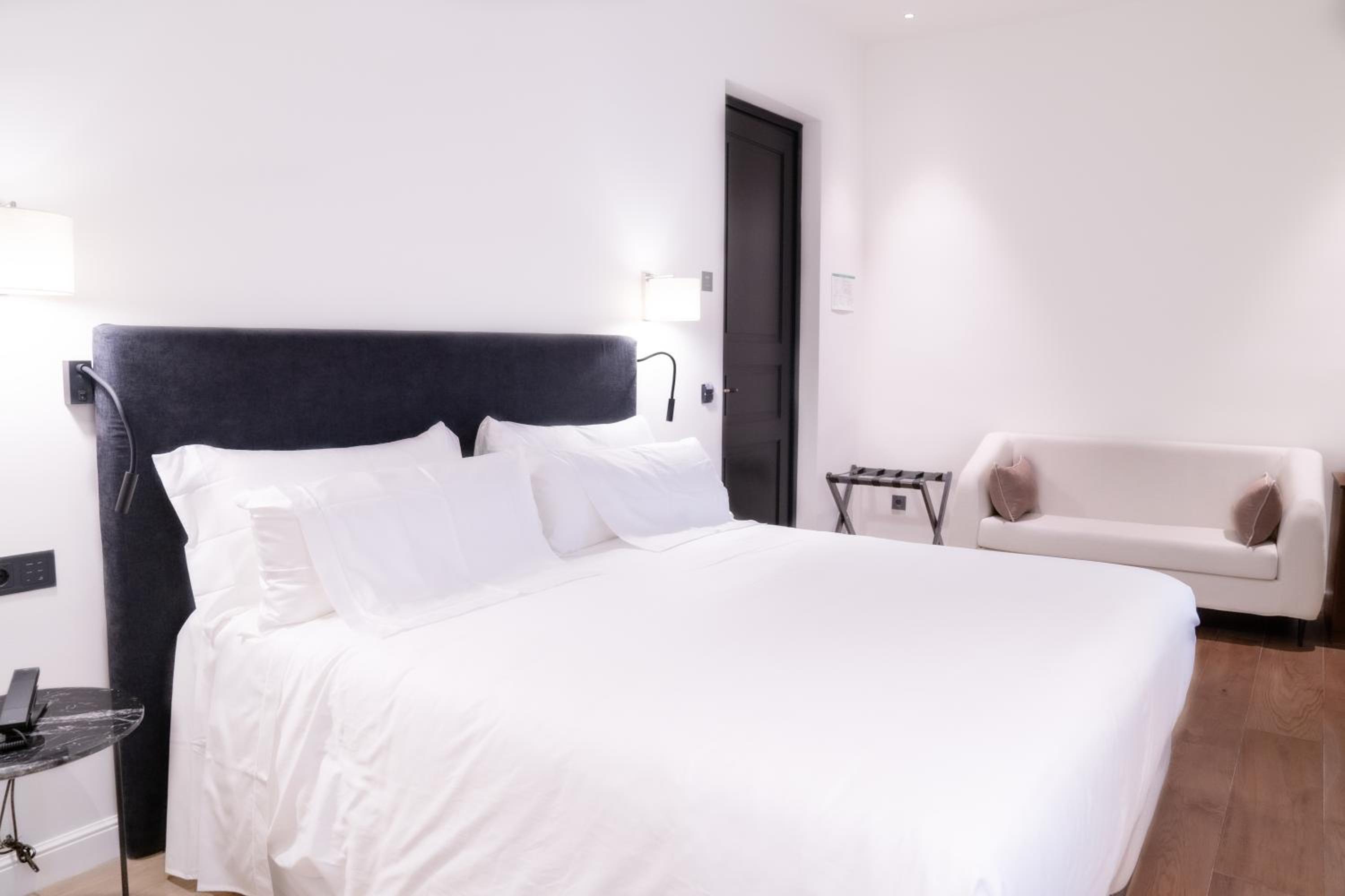 Suite Junior Premium