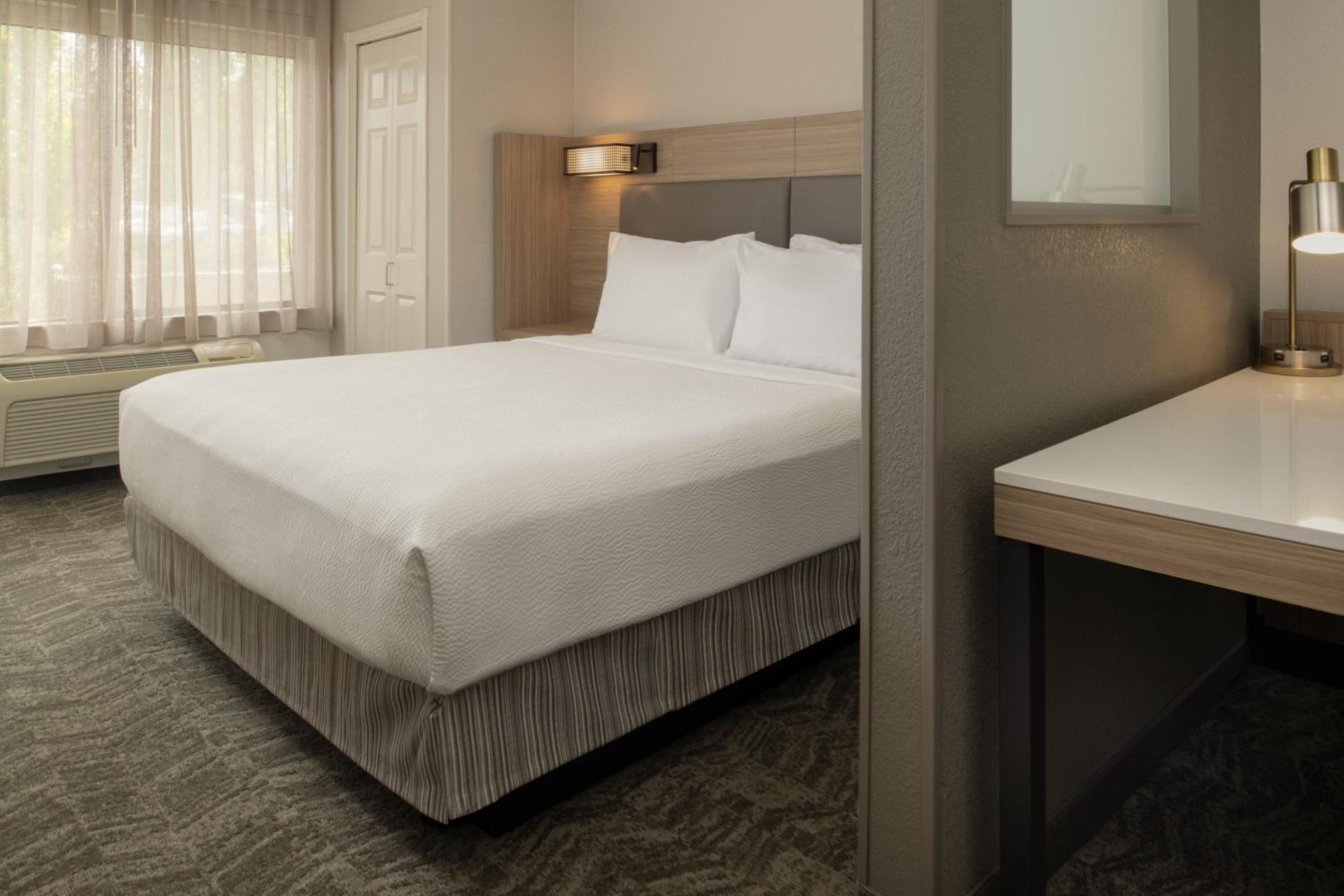 King Suite with Sofa Bed - Hearing Accessible photo 3