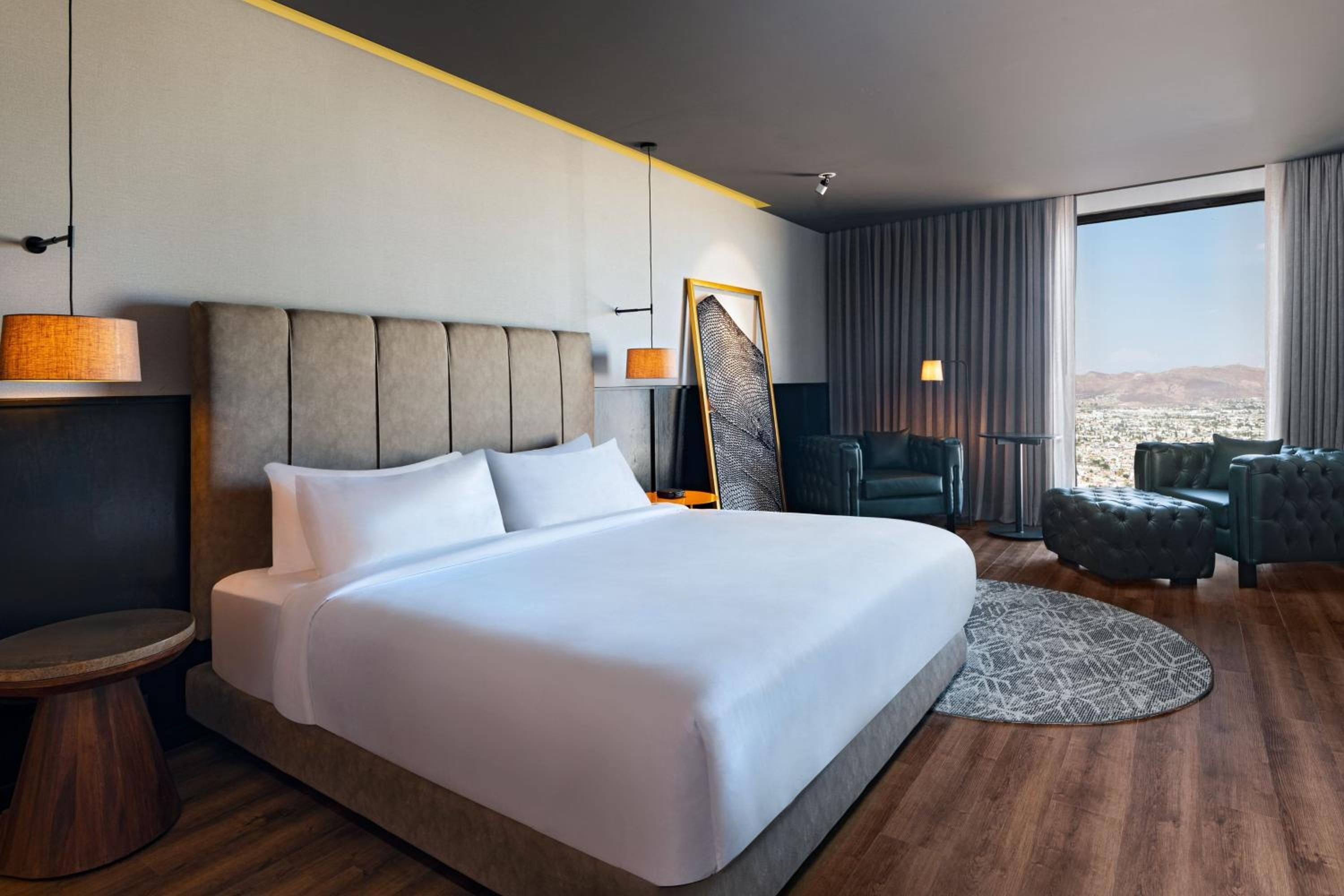 Deluxe King Room with City View photo 3