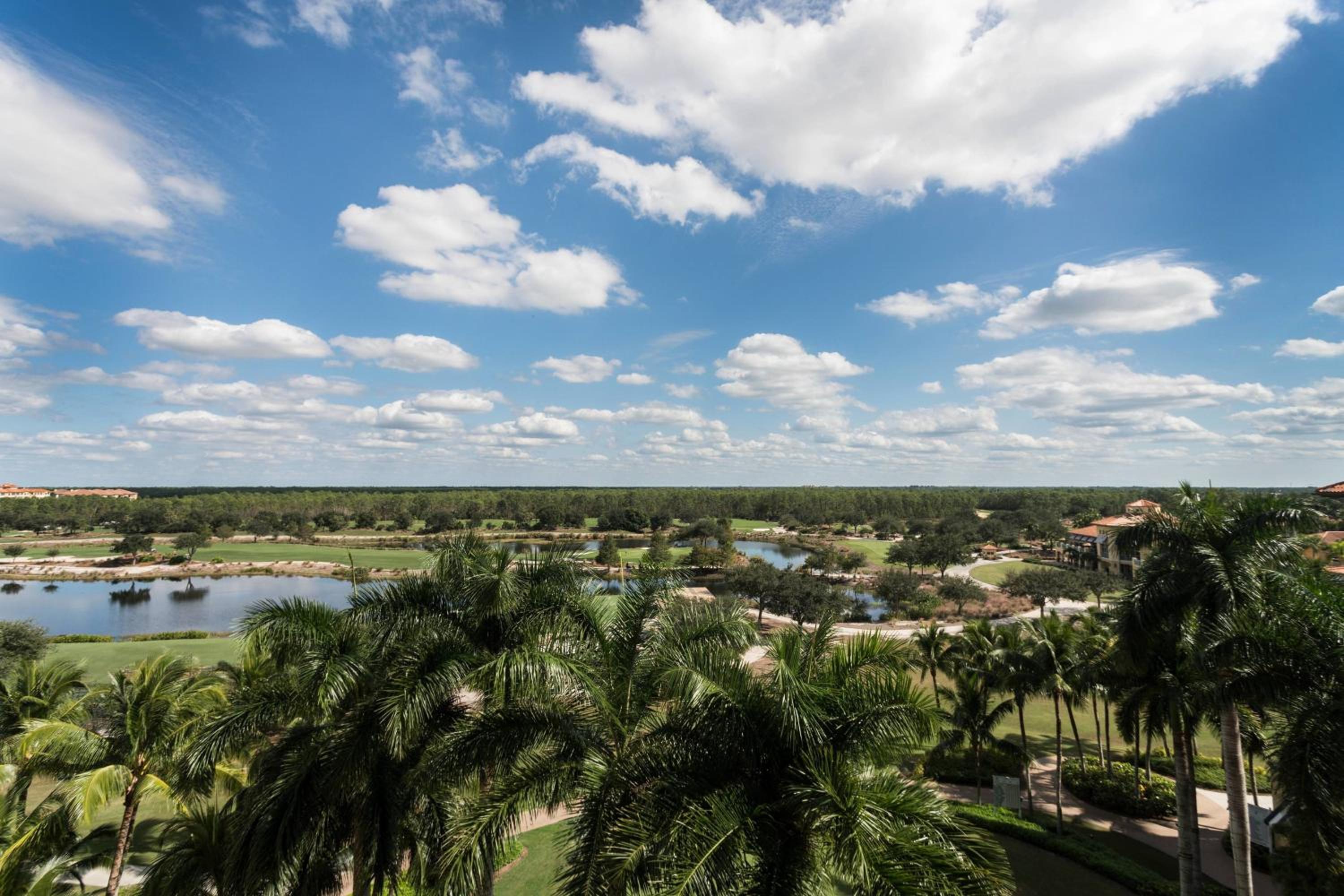 Golf View King  - Photo 3
