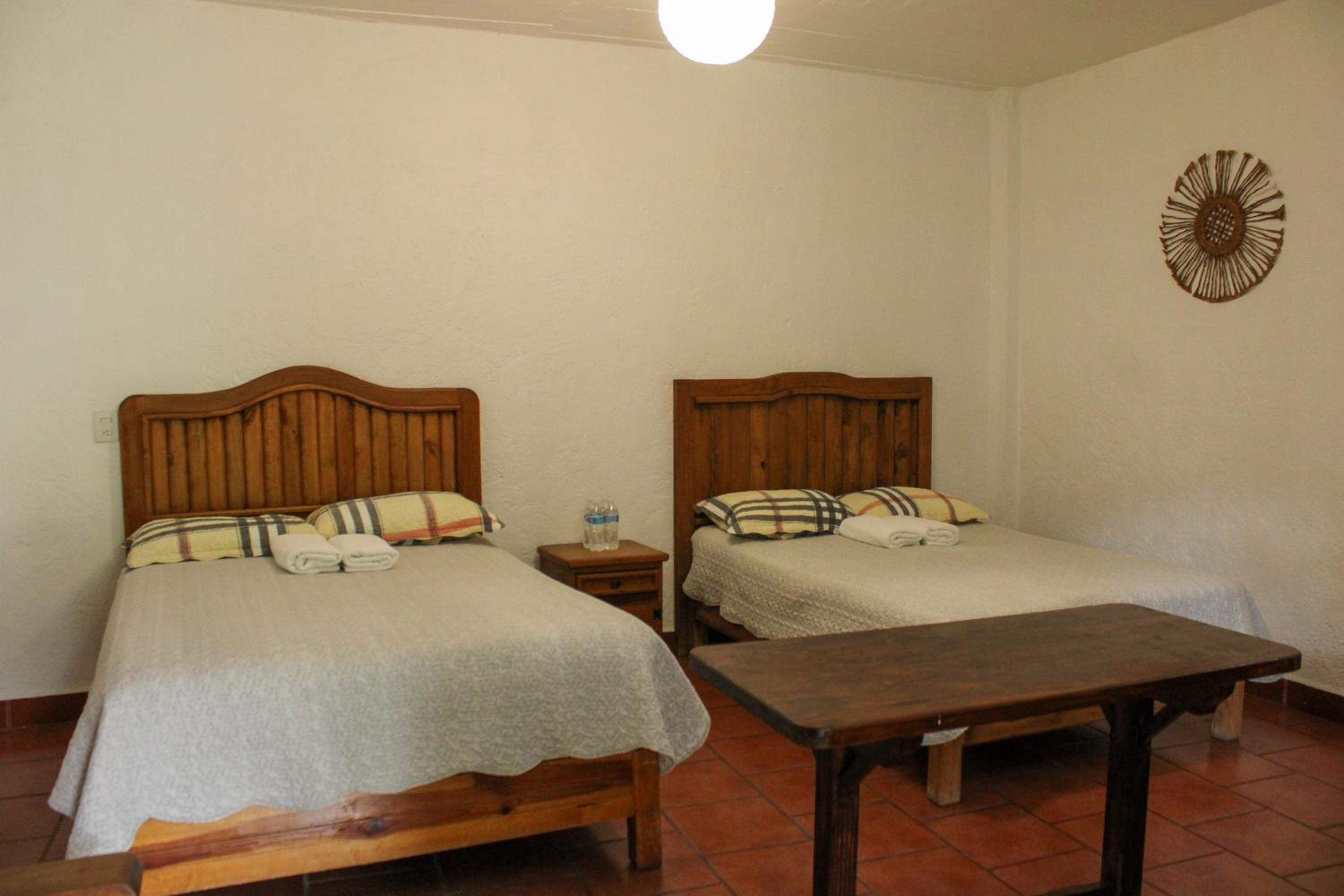 Twin Room photo 2
