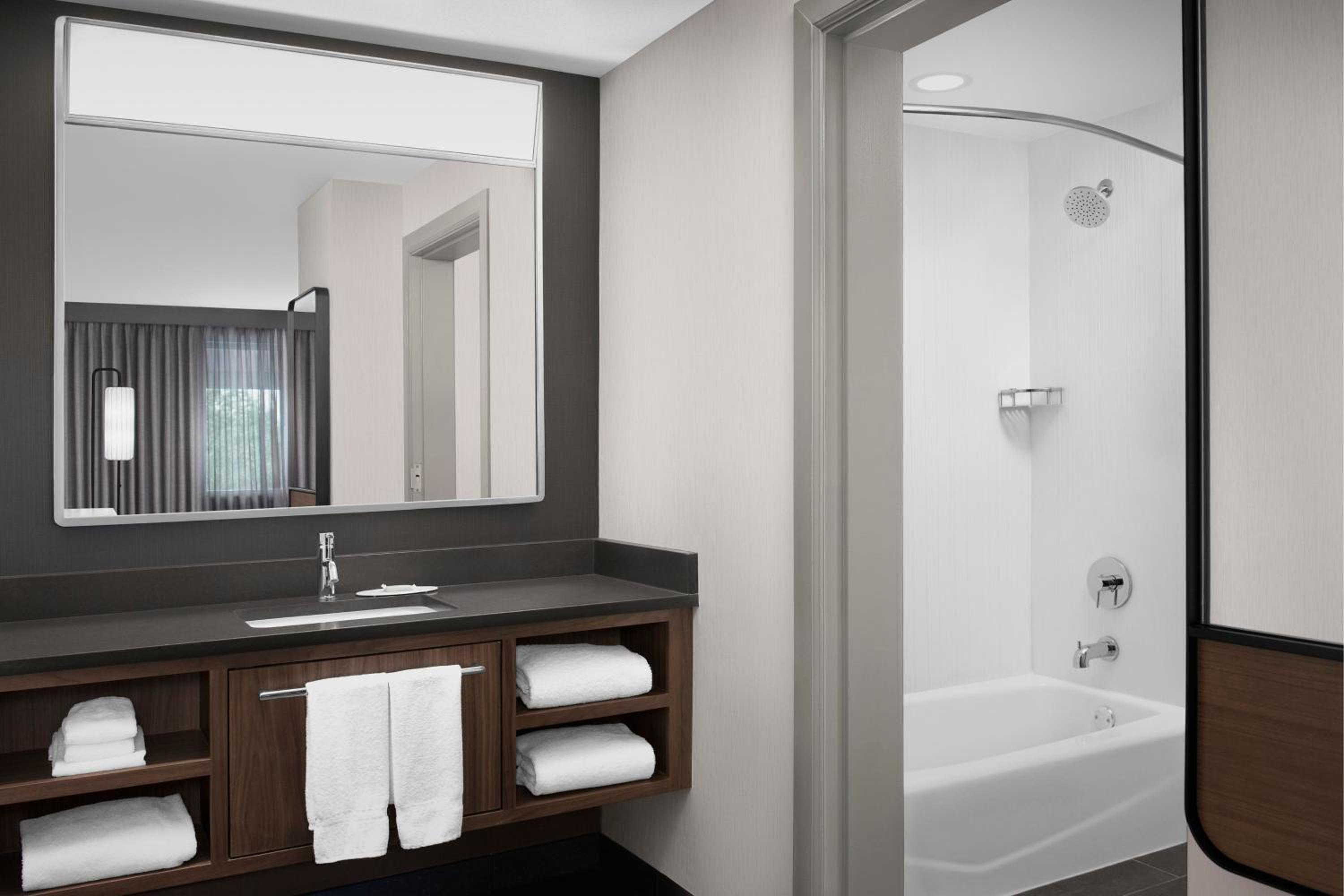 King Suite with Sofa Bed - Photo 4