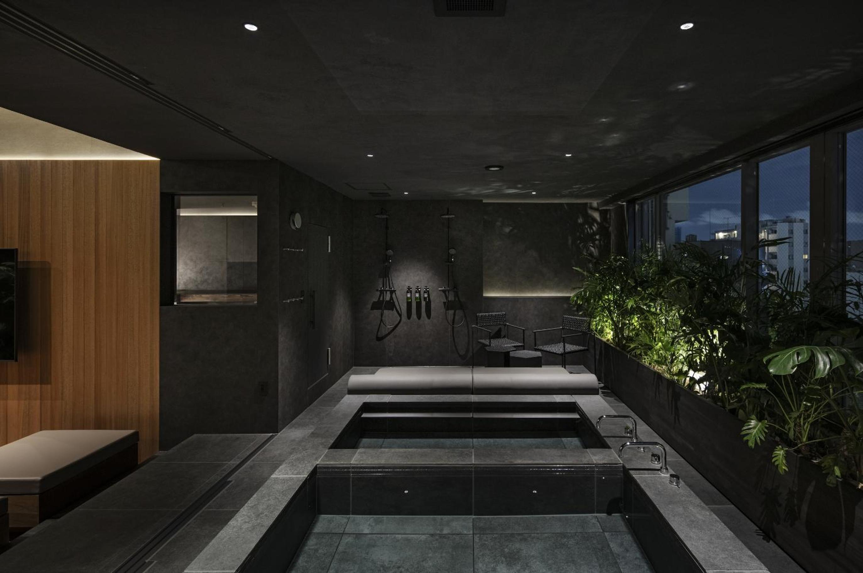 Suite with Sauna photo 3