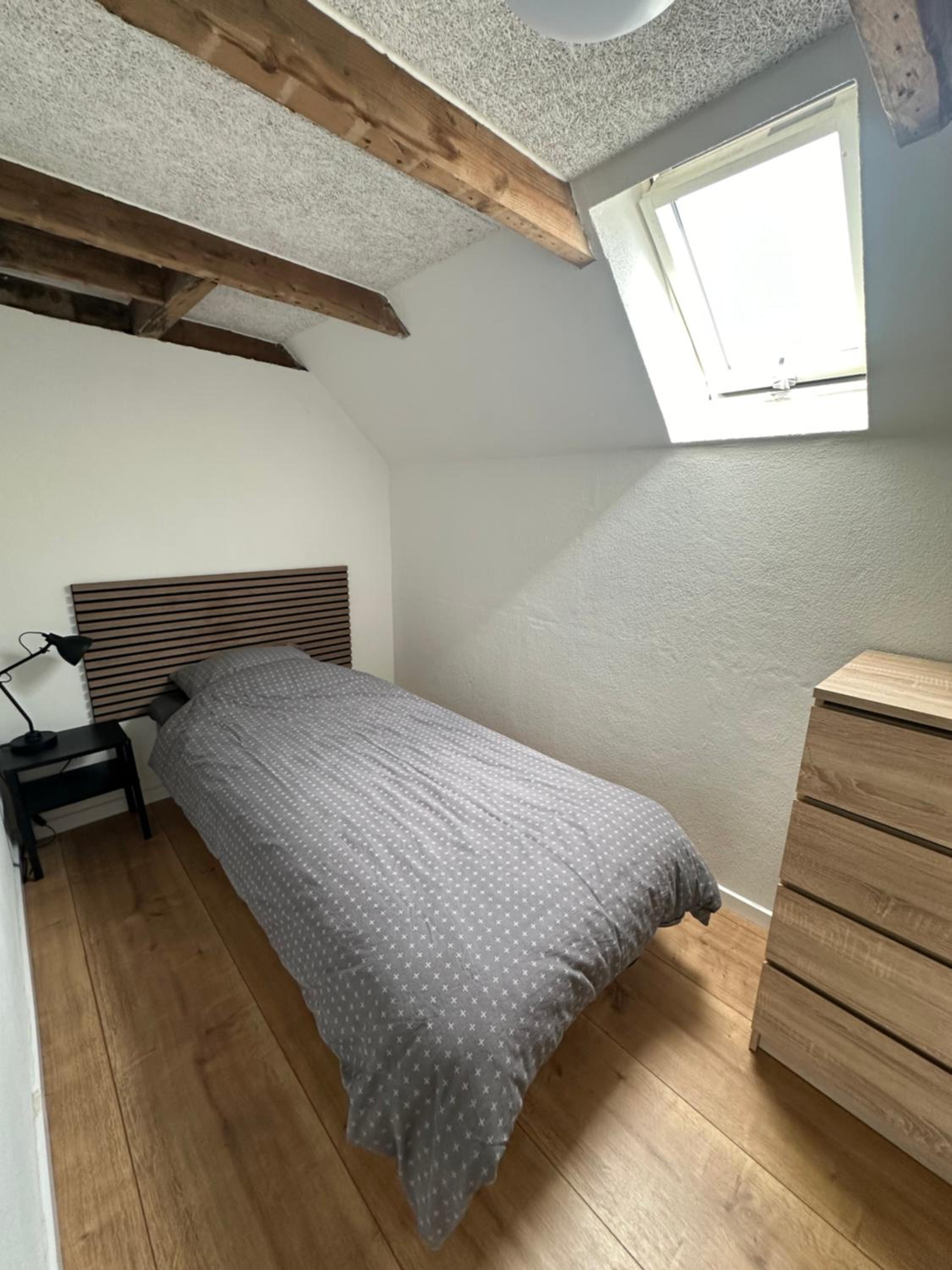 Single Room photo 1