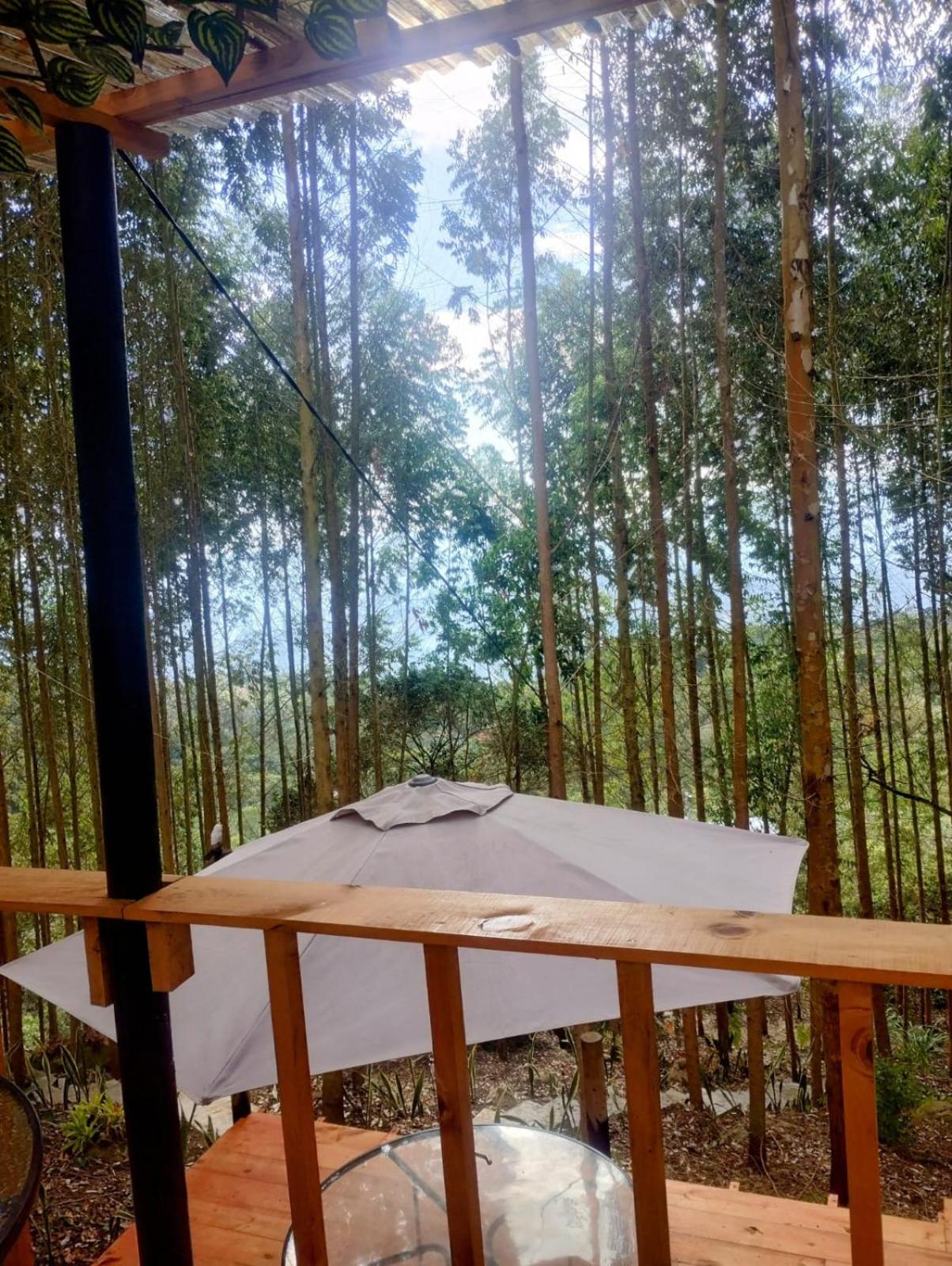 Double Room with Garden View photo 2