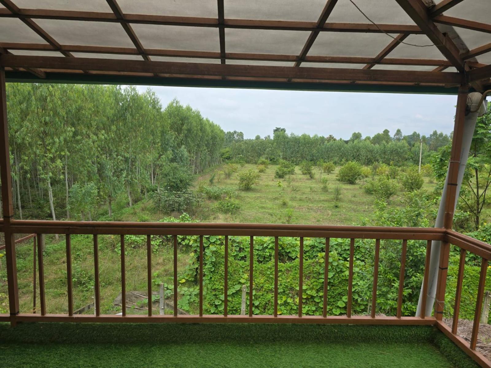One-Bedroom Villa photo 2
