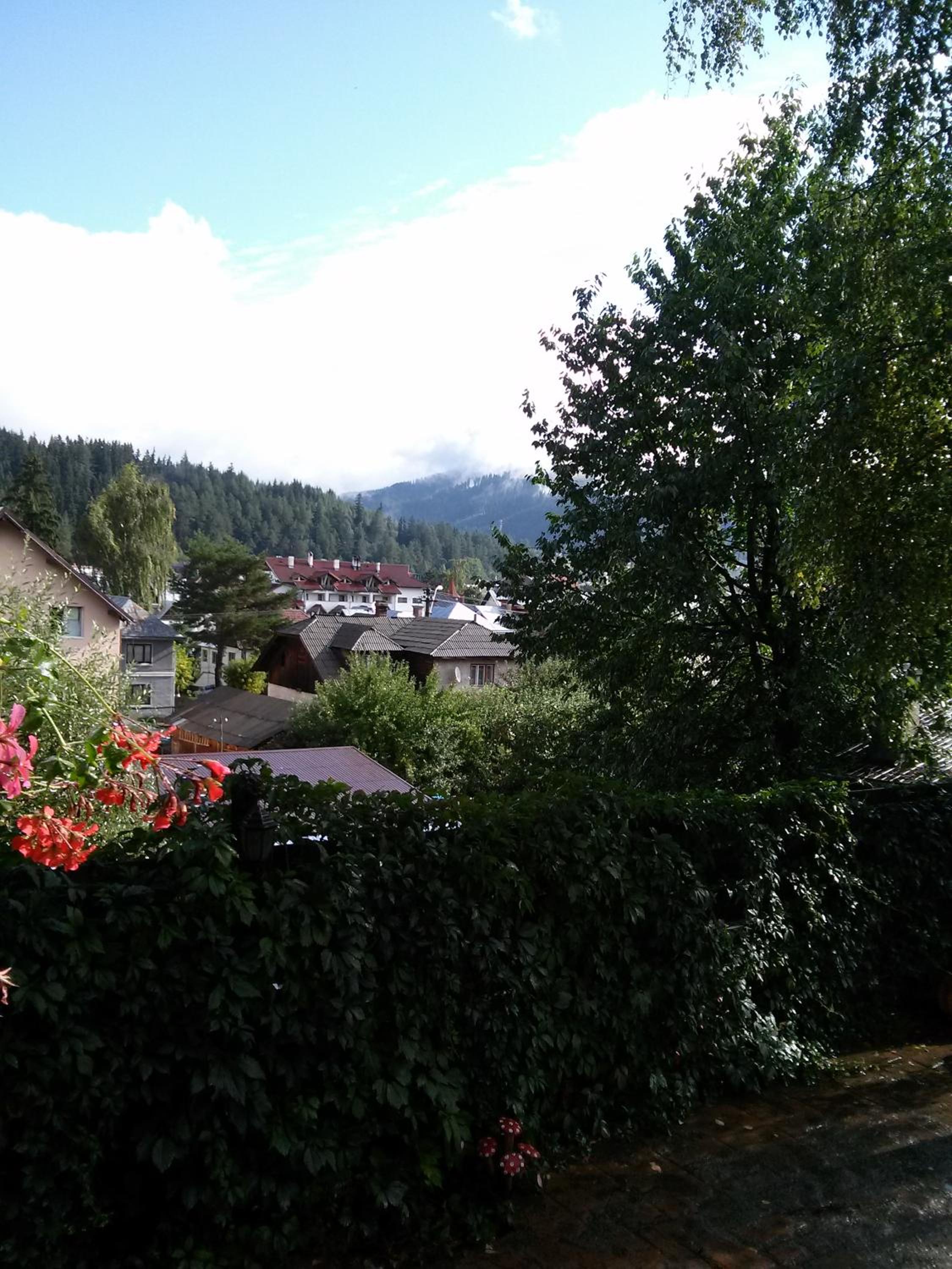 Vacation Home photo 2