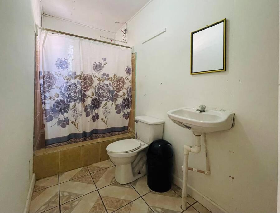 One-Bedroom Apartment photo 3