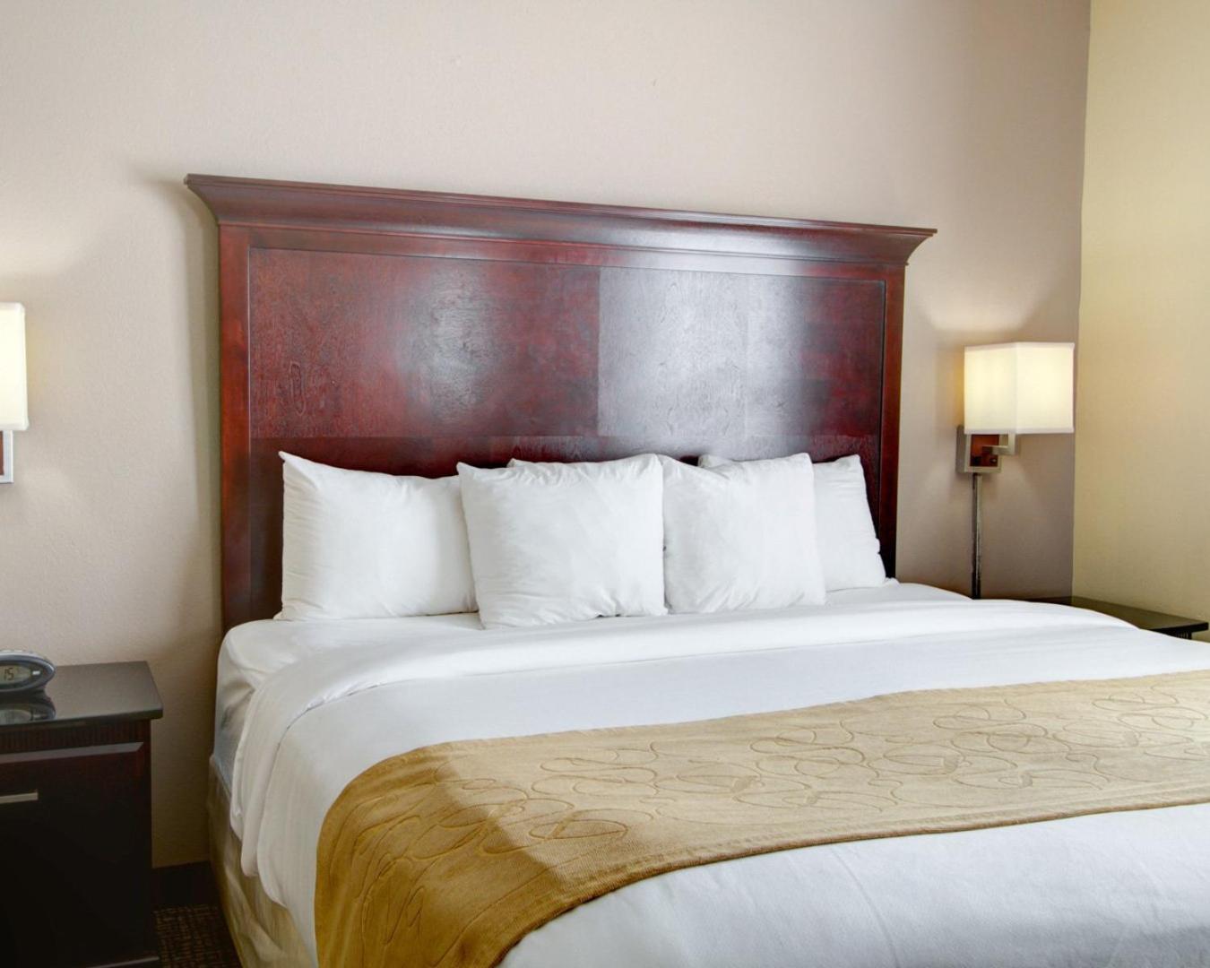 King Suite with Sofa Bed - Non-Smoking - Photo 11