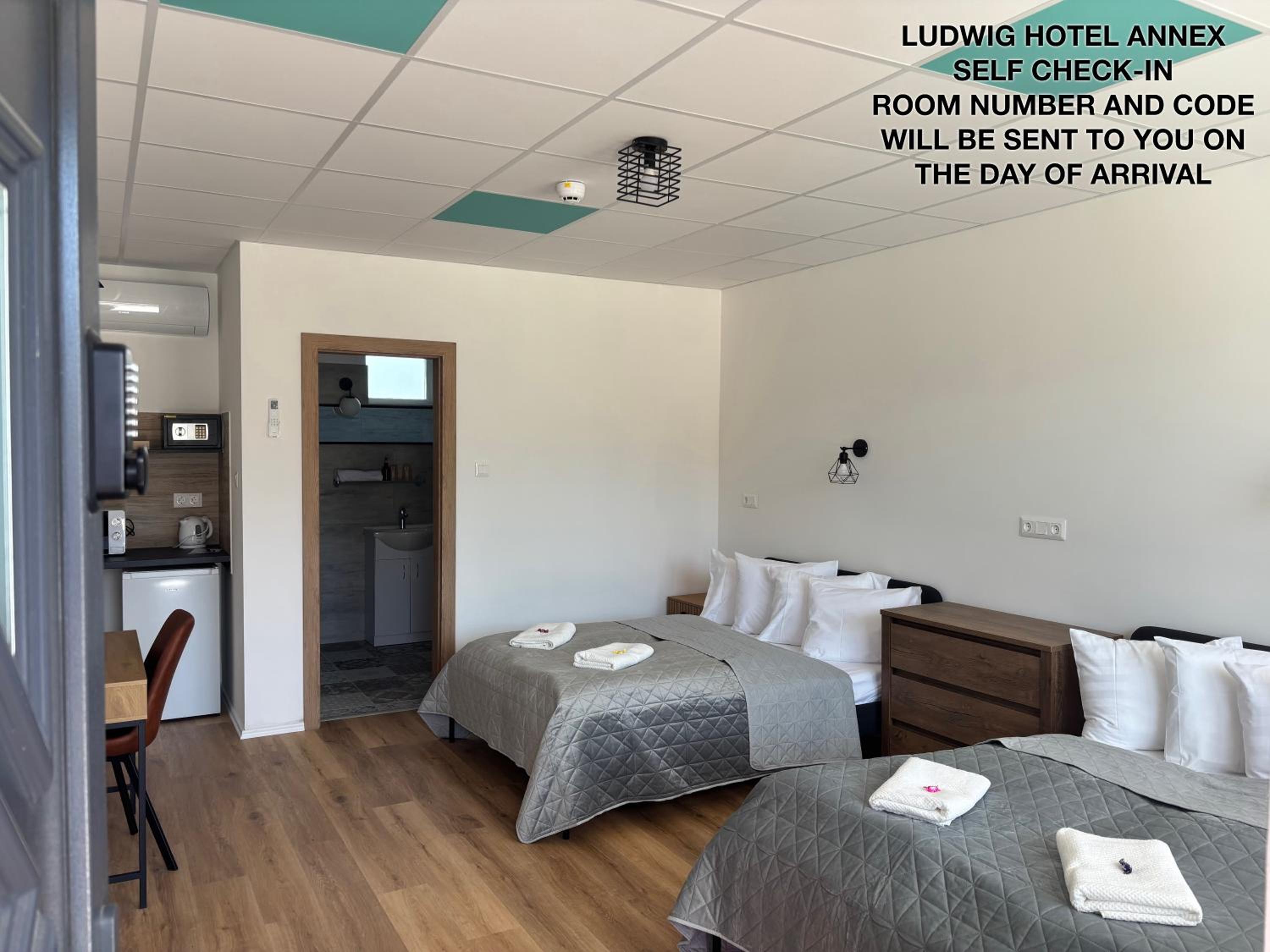 Ludwig Hotel Annex - Superior Twin Room