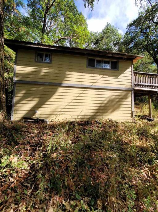 One-Bedroom House photo 3