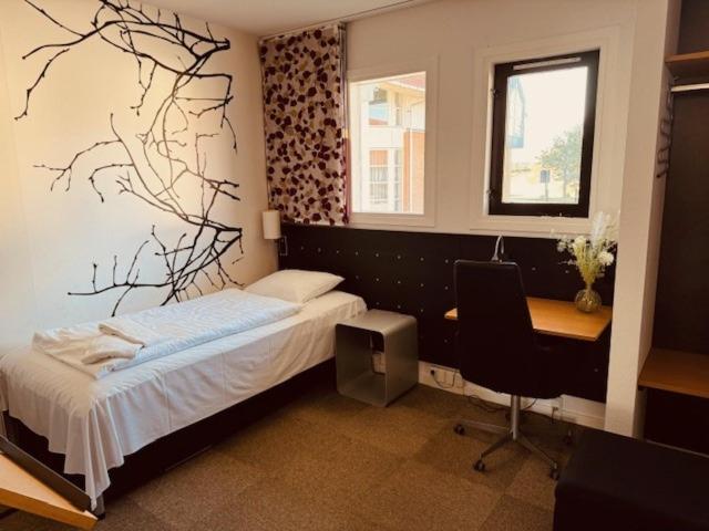 Single Room photo 2