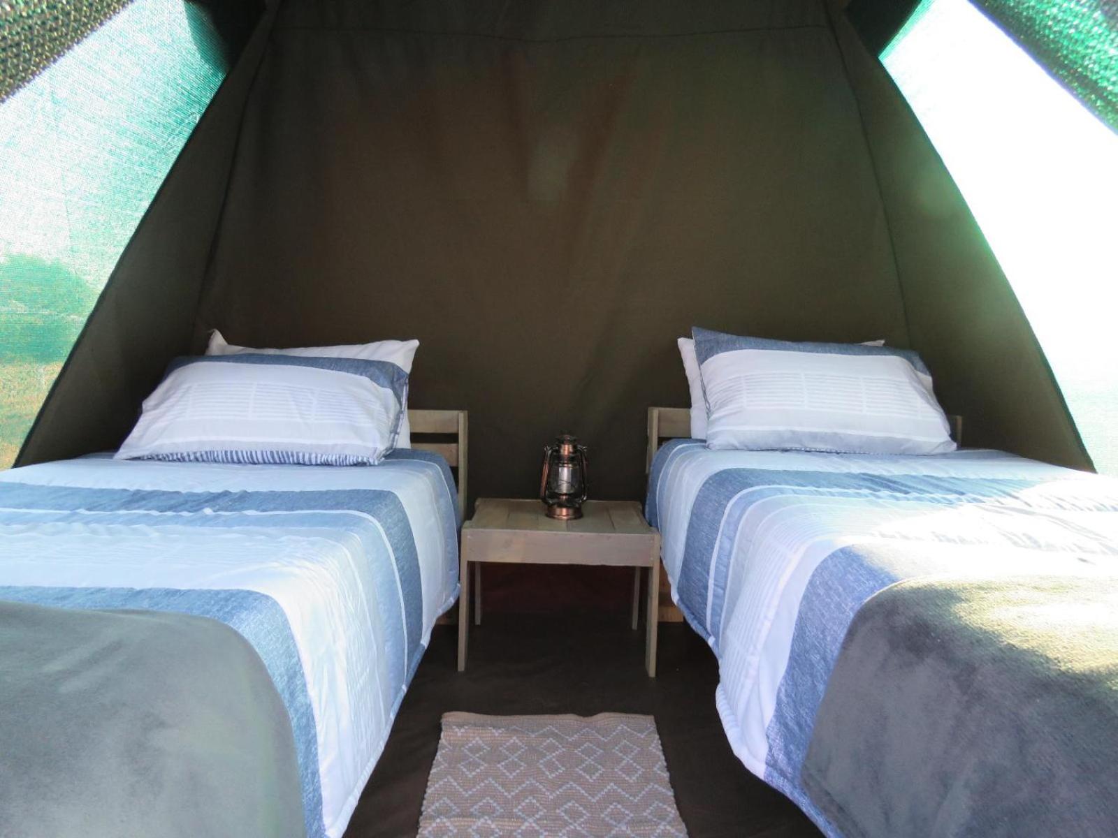 Standard Tent