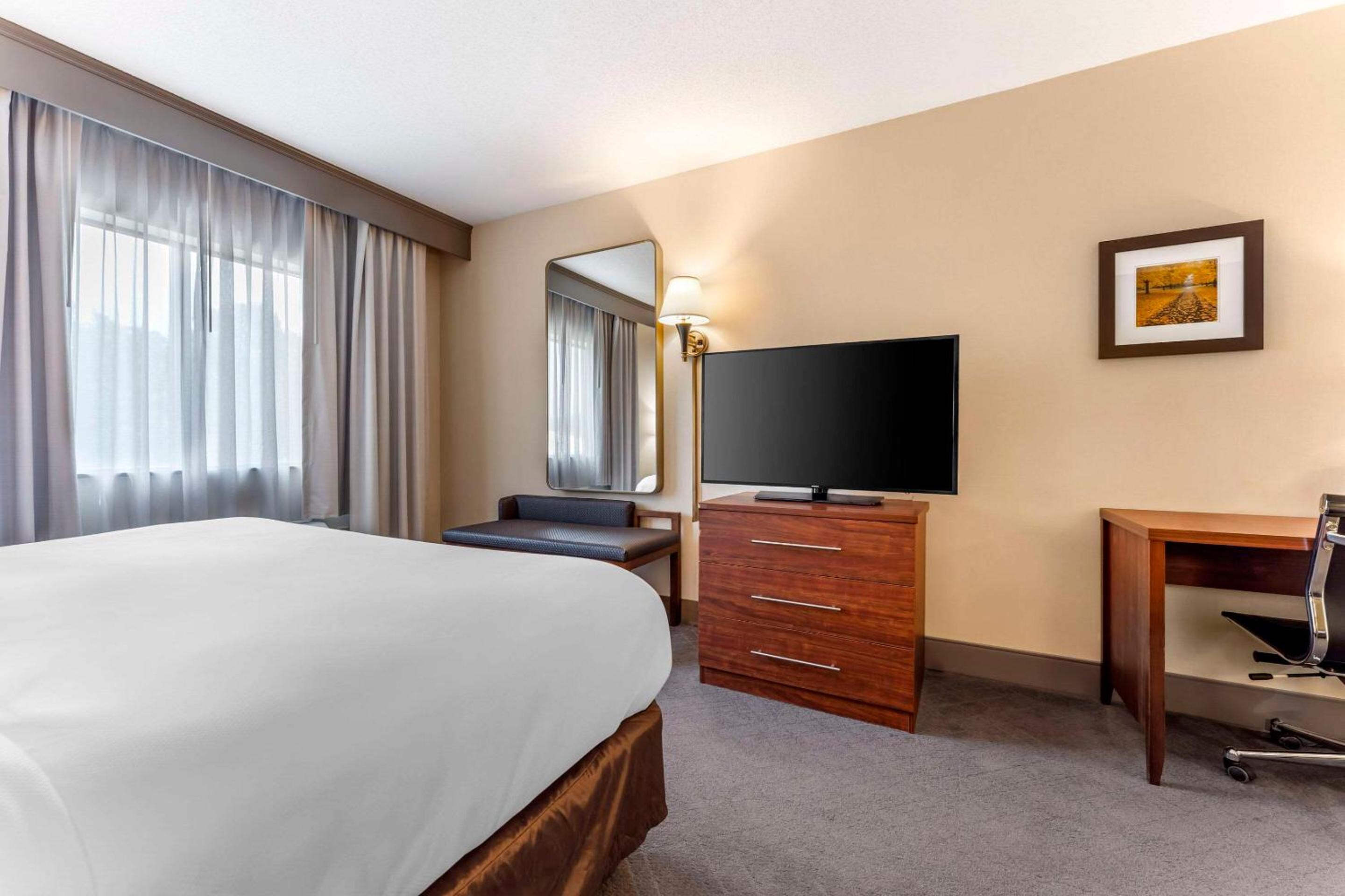 King Room - Non-Smoking - Photo 3