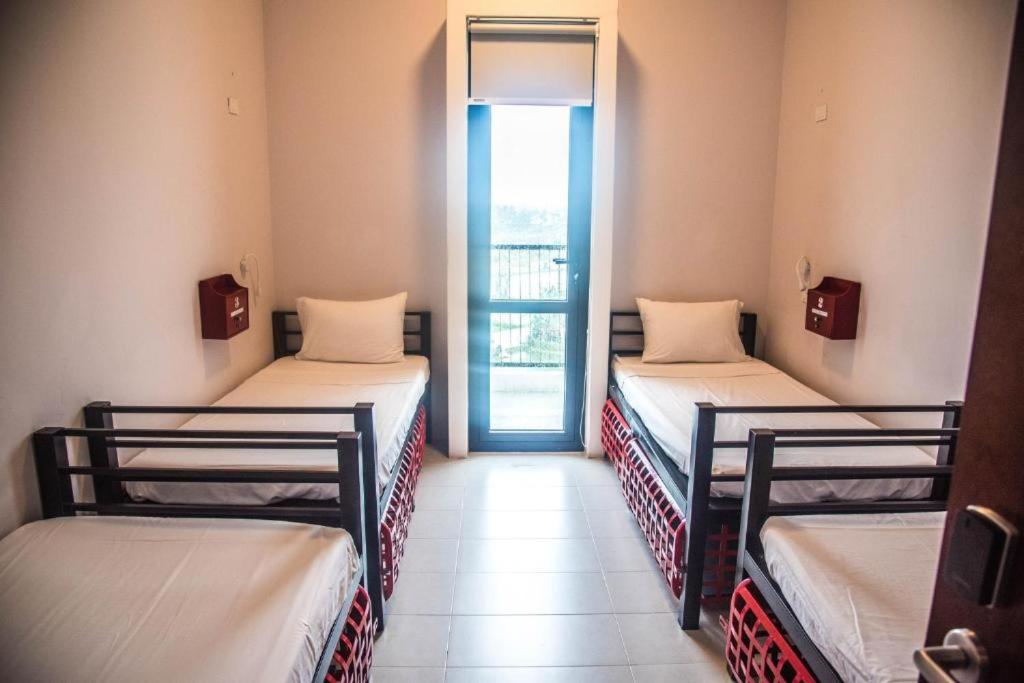Bed in 6-Bed Mixed Dormitory Room