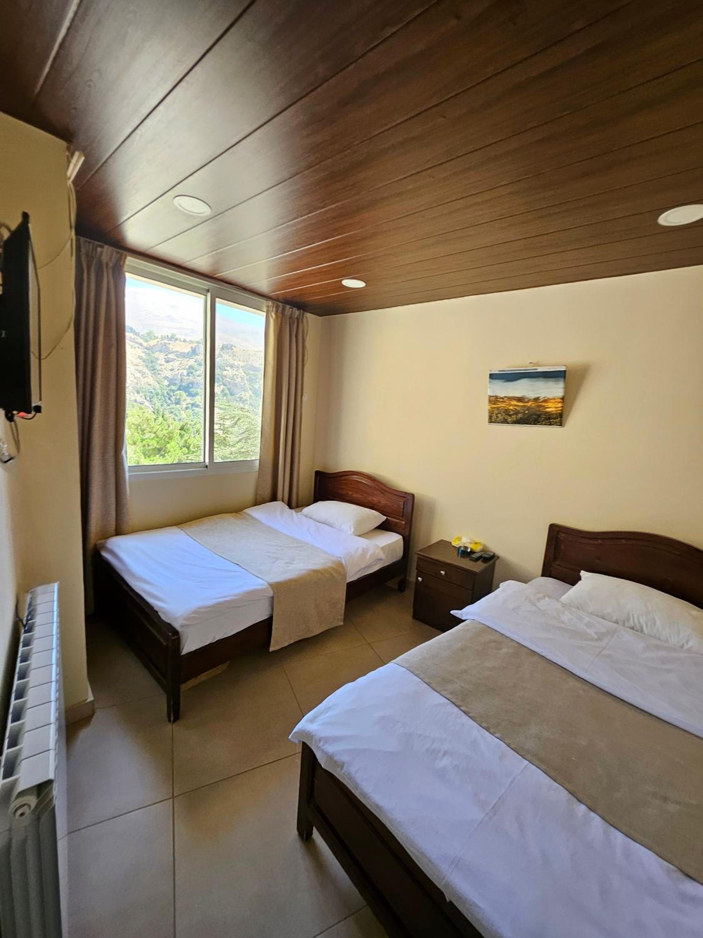 Twin Room photo 2