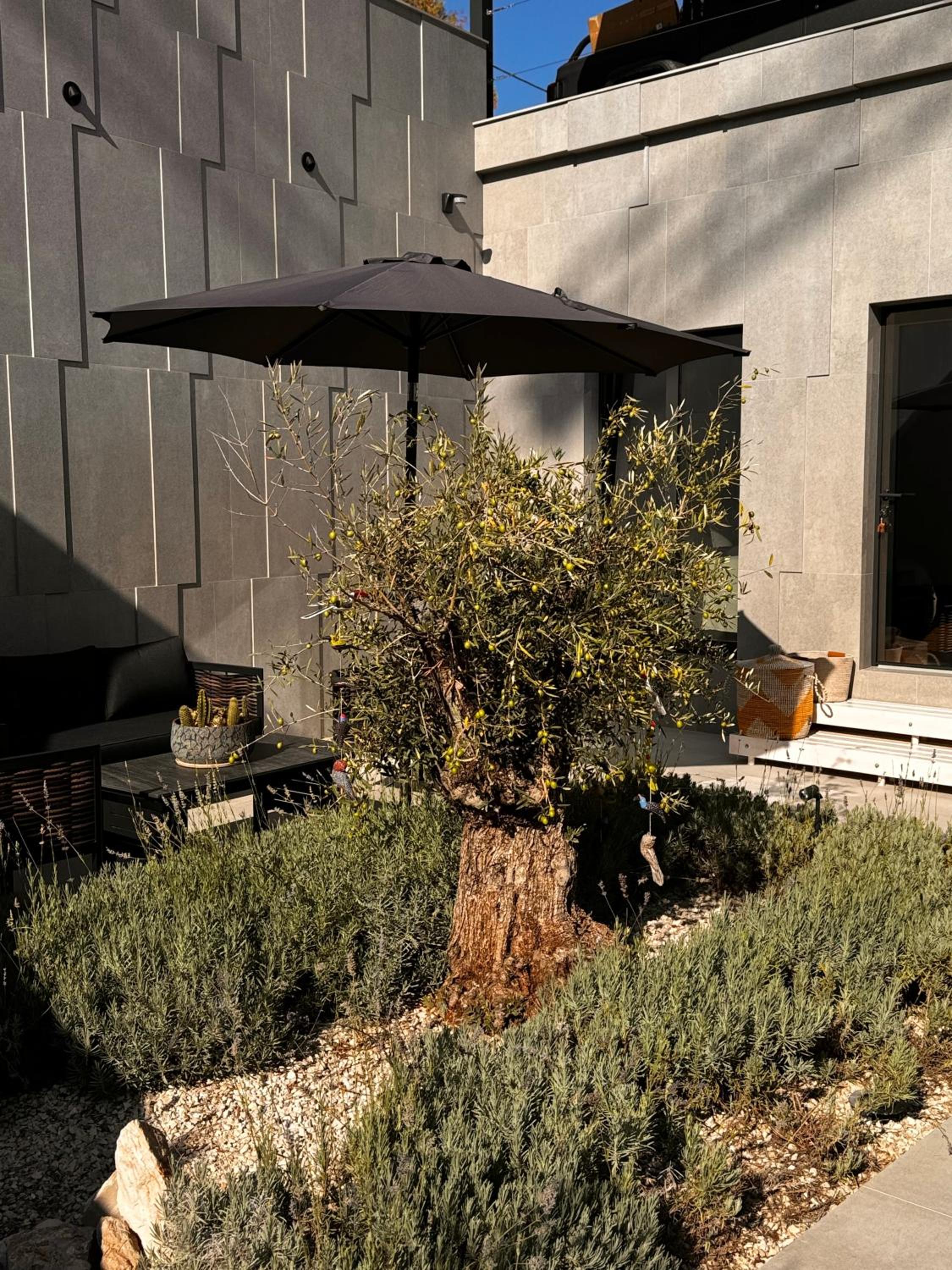 Double Room With Terrace photo 1