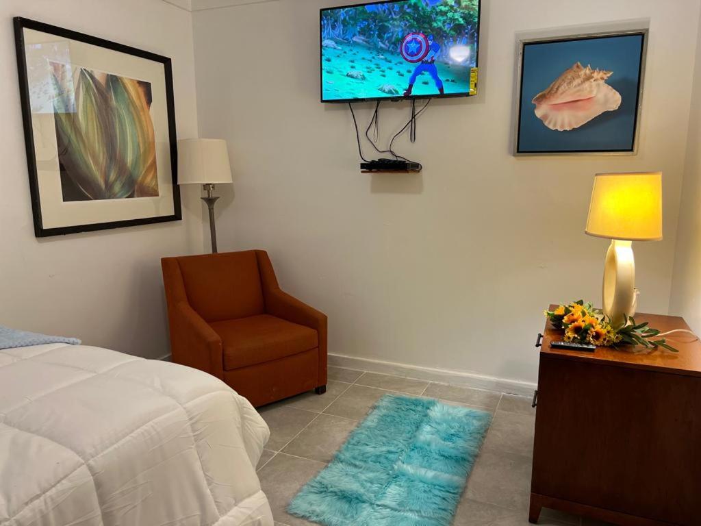 One-Bedroom Apartment photo 3