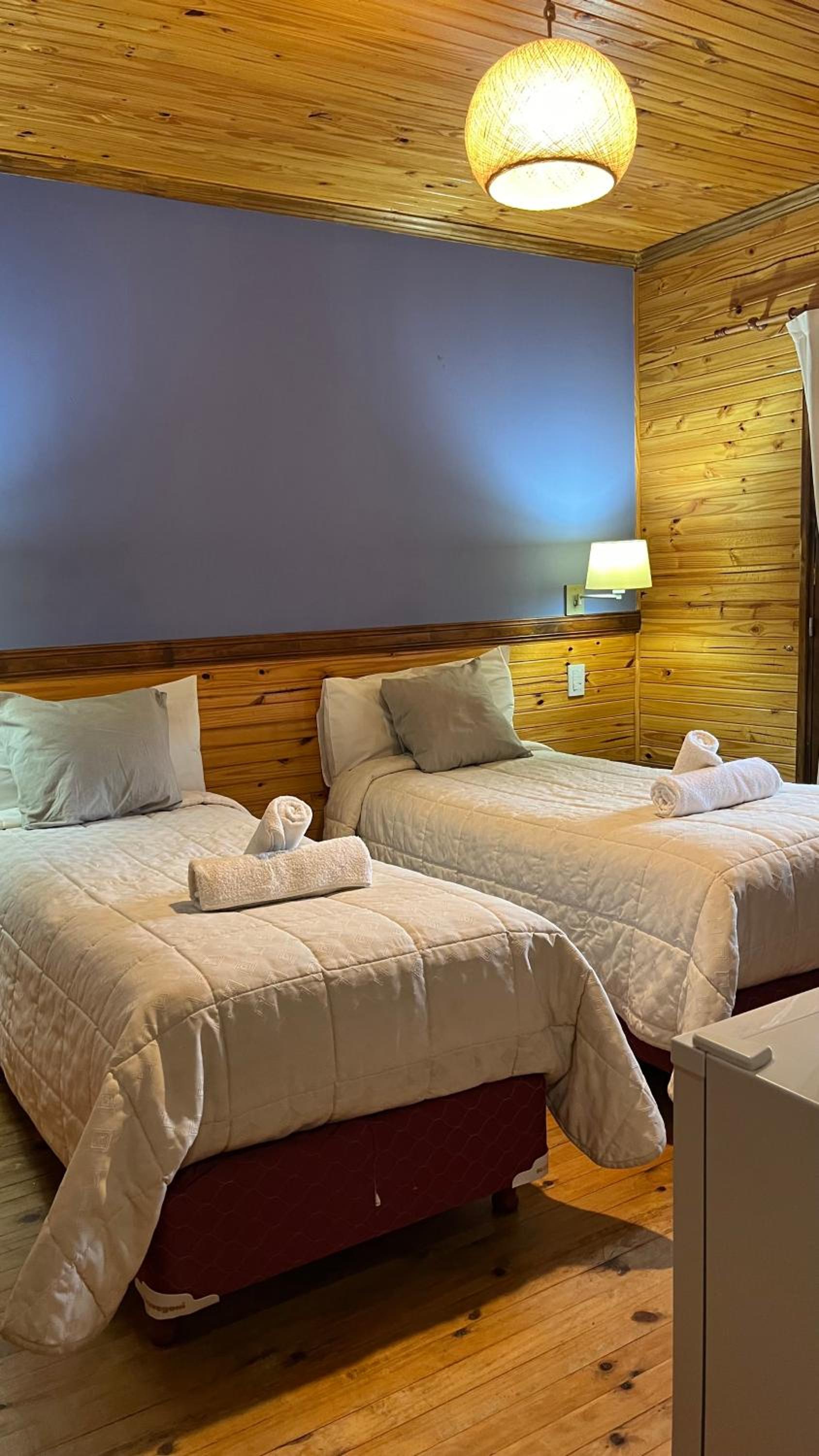 Twin Room photo 3