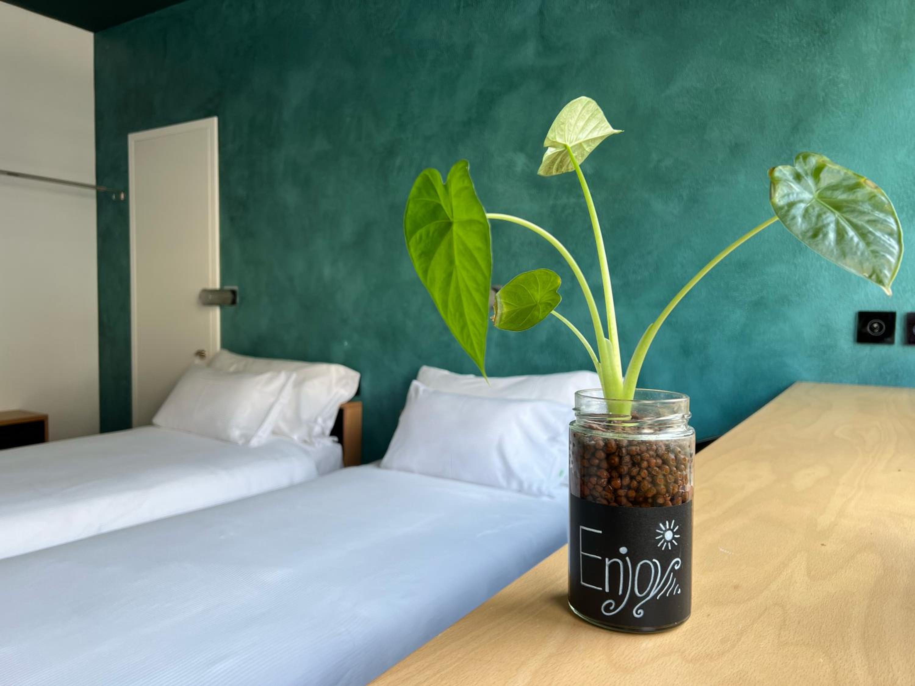Double or Twin Room with Mountain View - Photo 6