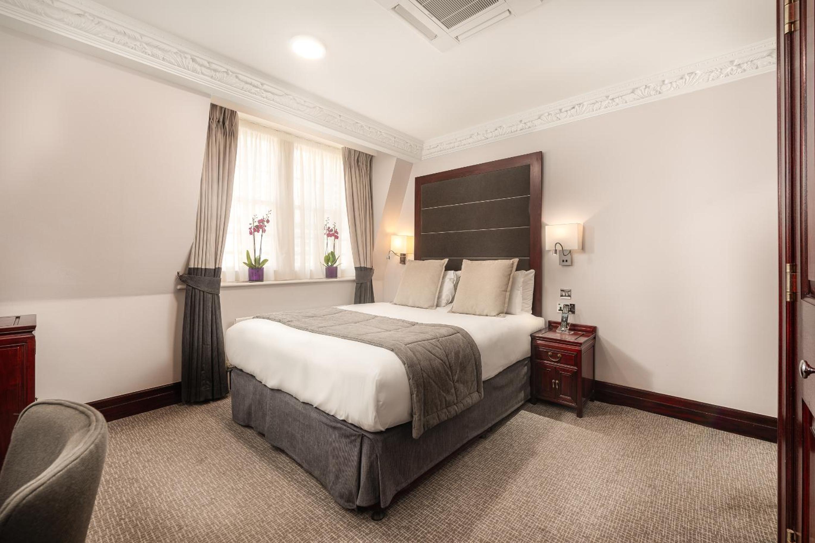 Executive Room photo 1