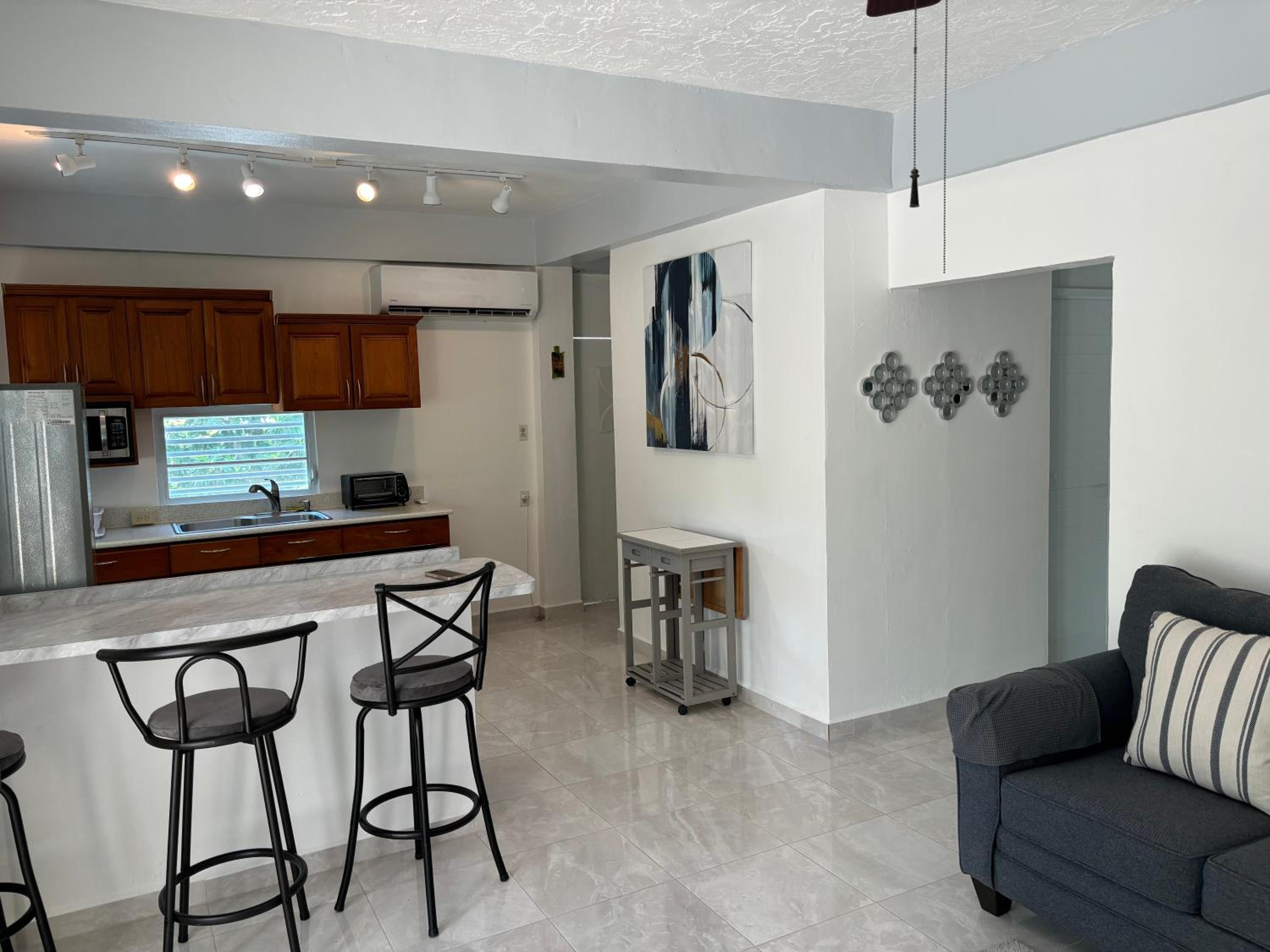 One-Bedroom Apartment photo 2