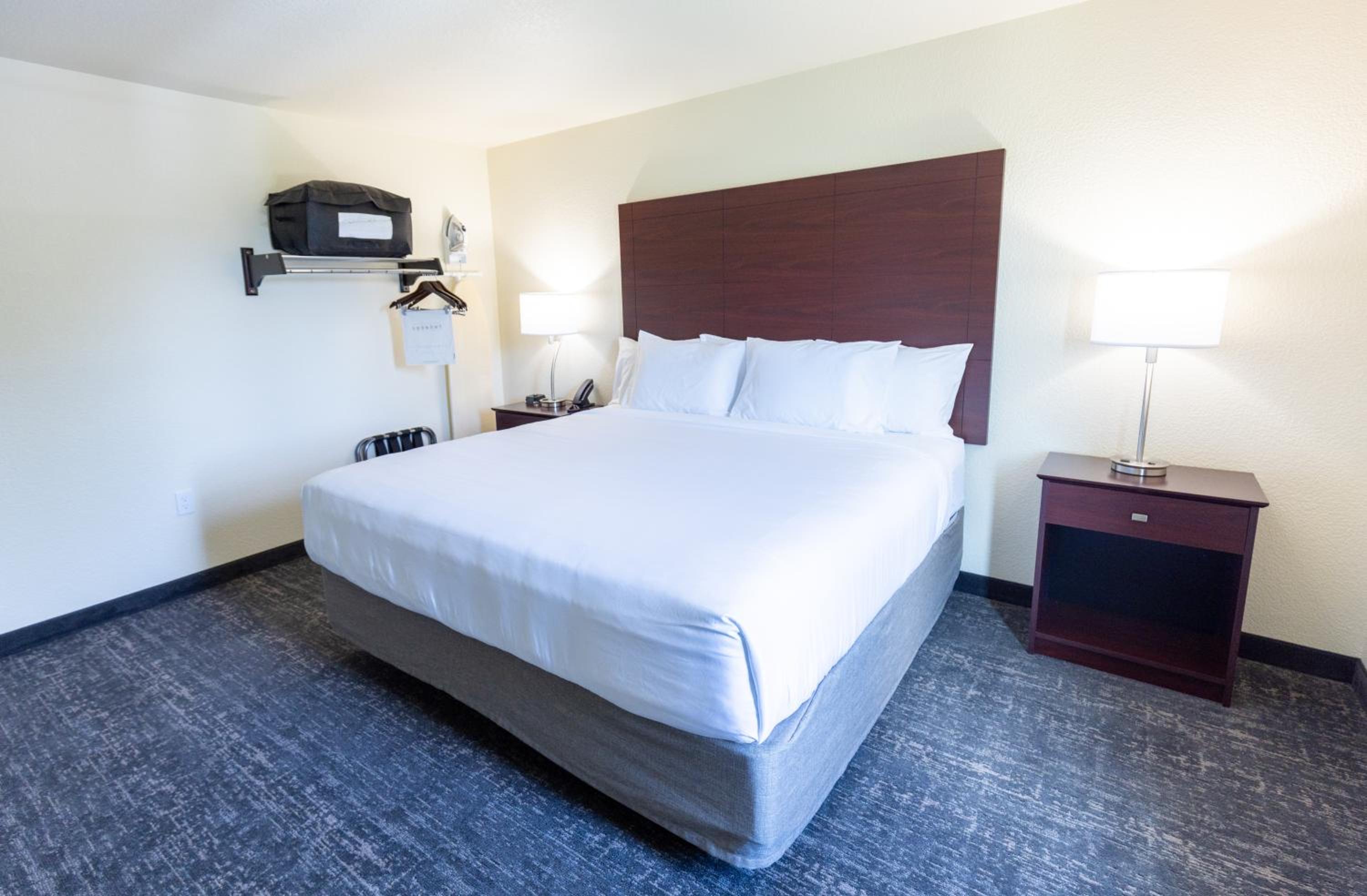 One-Bedroom Suite - Photo 4